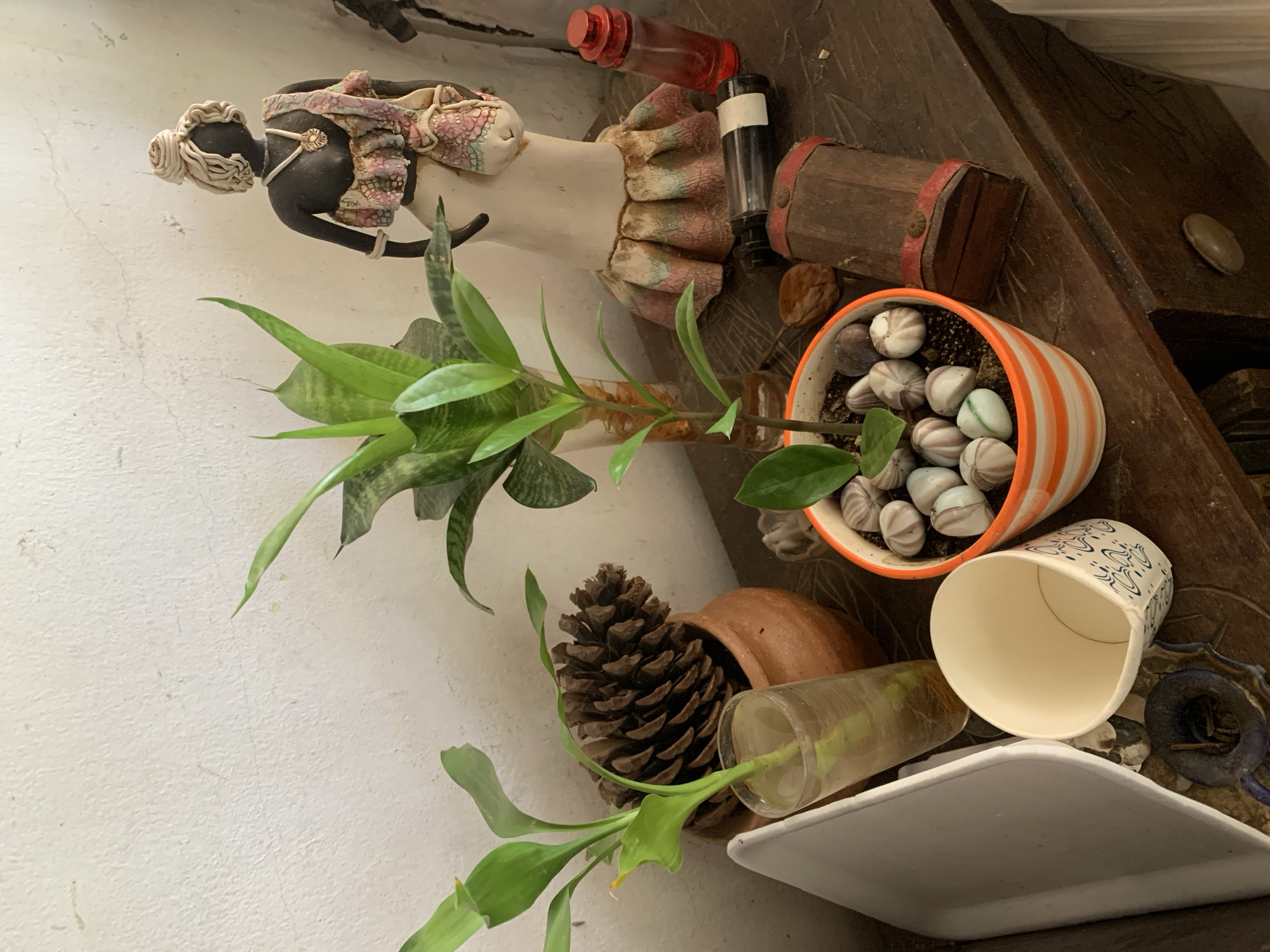 The image depicts a static indoor scene on a textured, off-white wall background, situated in the city of Santa Ana, Venezuela. A weathered, dark brown wooden surface, possibly a dresser or table with carved details on its front and a light-colored drawer knob, serves as the primary display area for various objects.
On the left side, a small green plant, possibly a type of bamboo, is rooted in a clear glass containing water. To its right, a large pine cone rests inside a small, reddish-brown terracotta pot. Further right, a variegated green snake plant (Sansevieria trifasciata) is placed in a tall, clear glass vase. A small plant with green leaves is potted in an orange and white striped ceramic pot, with its soil covered by numerous smooth, light-colored, and subtly striped stones or marbles. A single dark brown nut or seed is positioned on the wooden surface beside this pot.
Dominating the right side of the scene is a ceramic or clay statue of a dark-skinned person, likely female, with intricate light-colored coiled hair styled into a bun. The statue wears a white-cream ruffled top with pastel floral patterns, a white necklace with a circular pendant, and carries a small, patterned bag. The lower portion of the statue features a ruffled, multi-colored skirt in shades of pink, green, and cream.
Additional items on the wooden surface include a dark red, faceted glass bottle with a matching stopper, and a dark cylindrical object with a white label lying horizontally. A small, dark wooden box with red straps and metallic accents rests near the orange striped pot. On the far left, a white, possibly ceramic, rectangular dish or tray is visible, along with a white ceramic cup with blue patterns lying on its side. A small, dark blue or black ceramic dish or holder containing dark material is situated near the cup. The wooden surface appears slightly dusty and shows signs of age.