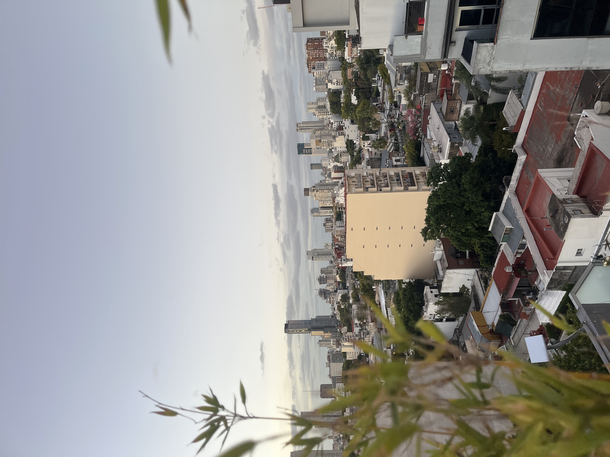 The image shows an elevated view of Buenos Aires, Argentina, likely taken from a high-rise balcony or rooftop. The cityscape is a mix of high-rise buildings and lower-rise residential structures. A light tan building with a regular pattern of windows is prominently featured. Many buildings have white, grey, and red rooftops. There are trees scattered throughout the urban landscape. The sky is a pale blue with some cloud cover. In the foreground, there are blurred bamboo leaves suggesting the viewpoint is from a balcony or garden. No people are directly visible in the image.