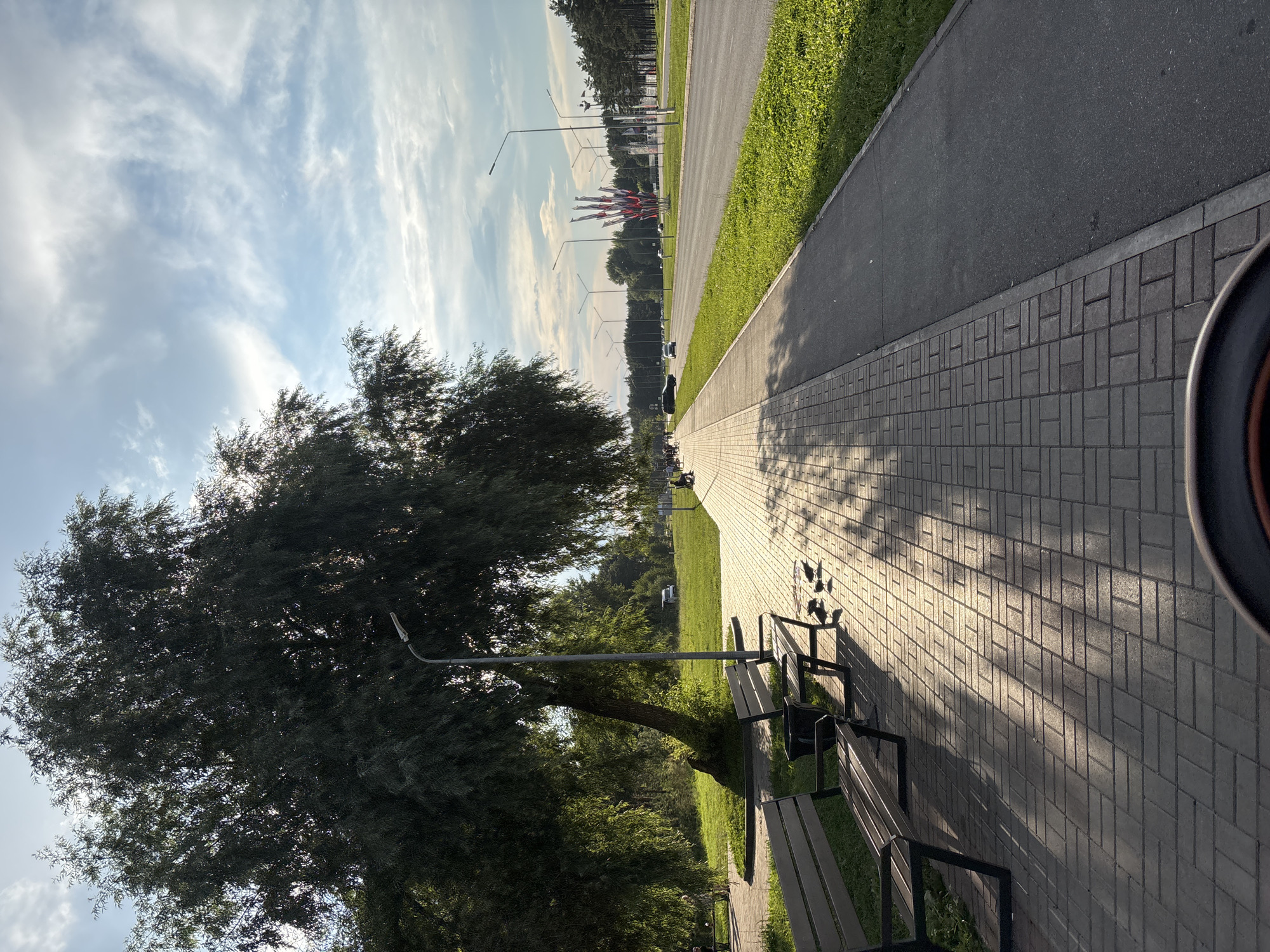 The image depicts a sunny day scene in Naberezhnye Chelny, Russia, likely along a main road or avenue. In the foreground, a brick-paved pedestrian walkway runs alongside a grassy area and a paved road. Two park benches are positioned on the walkway, with a trash bin between them. Several pigeons are visible on the walkway near the benches. A large, leafy tree with a distinctive curved trunk shades a portion of the walkway. In the middle ground, a road is visible with several cars and cyclists. In the background, a cluster of tall, red and white flags are planted, and a line of coniferous trees borders the far side of the road. The sky is partly cloudy with the sun casting long shadows across the walkway, indicating it is likely late afternoon. The overall atmosphere is serene and suggests a public park or recreational area adjacent to a busy thoroughfare.