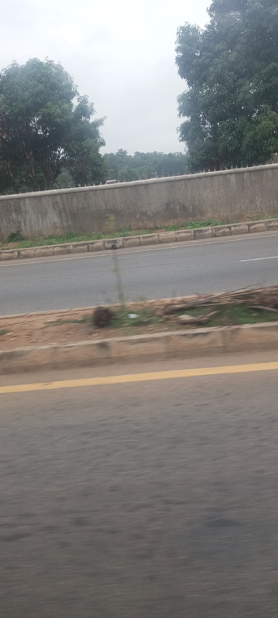 The image captures a roadside view, likely taken from a moving vehicle, indicated by the motion blur in the foreground. A grey asphalt road dominates the lower half of the frame, featuring a distinct yellow line on the left side and a faint white dashed line further back.
Adjacent to the road is a narrow strip of unkempt ground with sparse green vegetation and patches of dirt. Scattered debris, including what appears to be branches or refuse, lies on this strip. Beyond this, a long, unpainted concrete wall extends horizontally across the mid-ground. The top of the wall shows hints of protrusions, possibly decorative elements or security spikes.
Numerous trees with dense, green foliage populate the background, forming a natural barrier behind the concrete wall. Two prominent, large trees frame the upper corners of the image. The sky is overcast and uniformly grey, suggesting a cloudy day rather than bright sunshine.
The scene depicts a typical road environment, possibly an expressway or a major thoroughfare, in an urban or semi-urban area. There are no people visible, nor is there any discernible text. The image conveys a neutral, observational perspective of the landscape under dull, cloudy weather conditions in Jos, Nigeria.