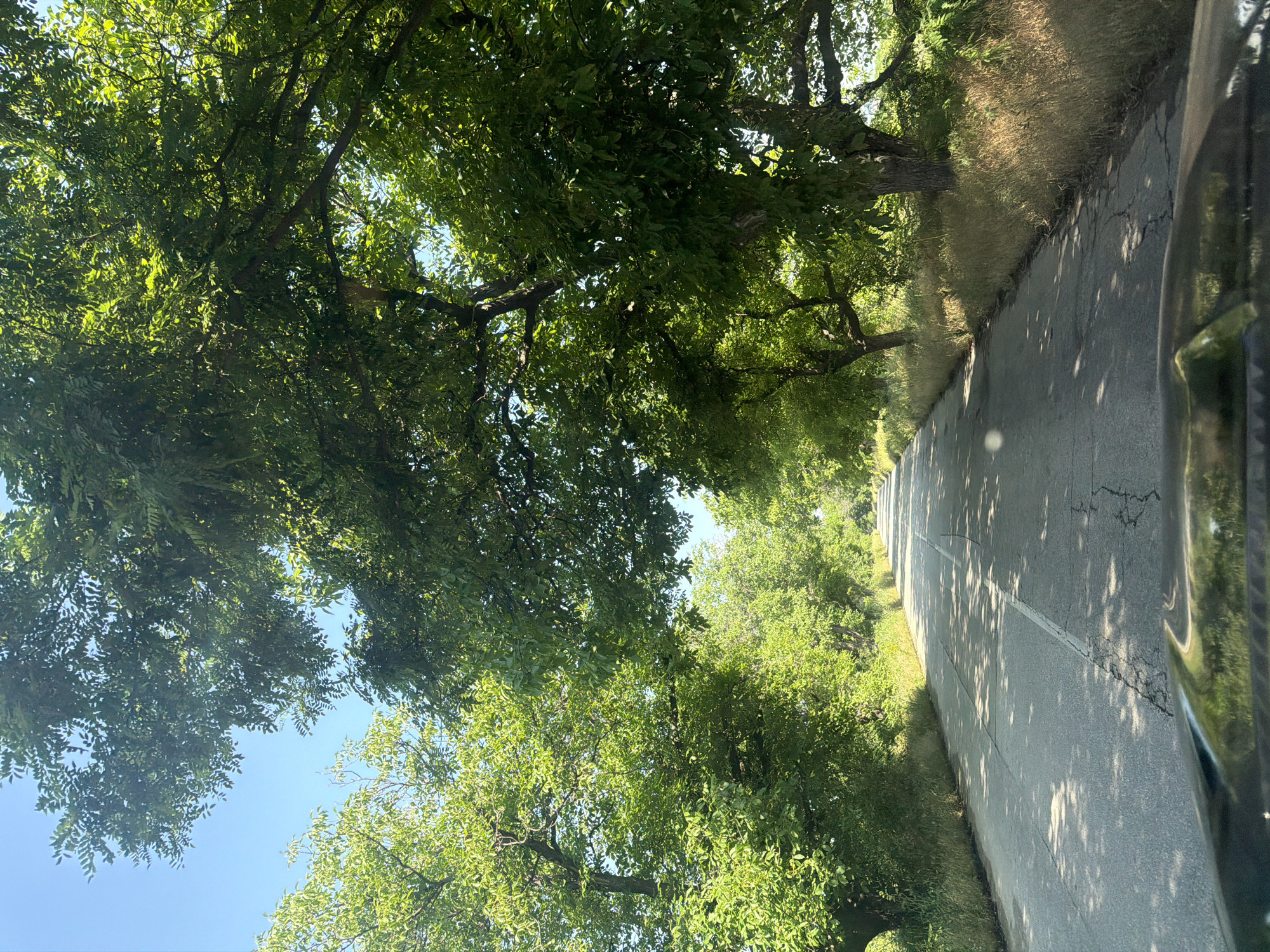 The image captures a sunlit, tree-lined road in Unatsite, Bulgaria, viewed from the perspective of a moving vehicle. Dense, vibrant green foliage from abundant trees forms a natural canopy overhead, creating a tunnel-like effect. Bright sunlight filters through the leaves, casting distinct, dappled shadows across the asphalt road below. The road itself shows some minor cracking and features a continuous white solid line running along its right edge.
Alongside the road, the shoulders are covered with a mix of dry, golden-brown grass and patches of greener vegetation. Above and between the branches, sections of clear, bright blue sky are visible. The strong sunlight and sharp shadows indicate a clear and sunny day, likely during late morning or early afternoon. A dark, reflective part of the vehicle, possibly a window frame or door, is visible along the far right edge of the frame. The scene conveys a sense of peaceful travel through a natural, rural environment. There is no visible text or identifiable people.