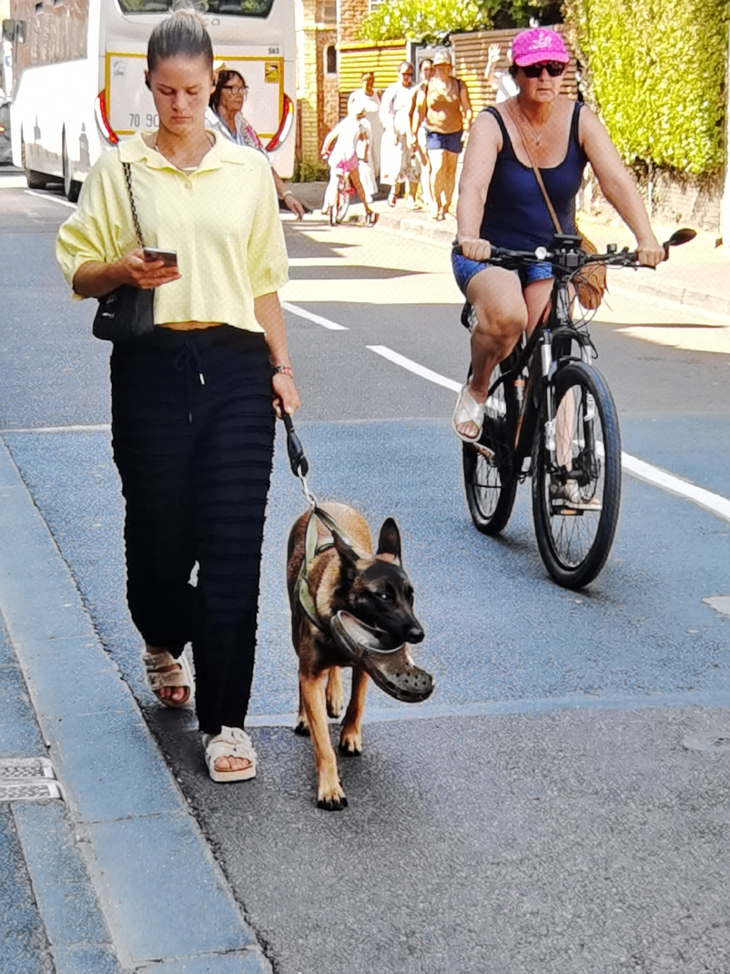 In Étretat, France, on a sunny day, a woman is walking her dog on the sidewalk. The woman is wearing a yellow polo shirt, black pants, and beige sandals. She is holding a smartphone in her left hand and a dog leash in her right hand. Her dog, a German Shepherd, is wearing a harness and carrying a black Croc in its mouth.
Behind the woman, a woman on a bicycle is passing by. She is wearing a navy blue tank top, denim shorts, a pink baseball cap, and sunglasses. She has a brown crossbody bag over her shoulder.
In the background, other pedestrians are visible, as well as a white bus with "70 90" displayed on its back. The scene appears to be a street in a town, with buildings and trees lining the road. The weather is clear and bright, suggesting it is daytime. The overall mood seems relaxed and casual, with people enjoying an outdoor activity.