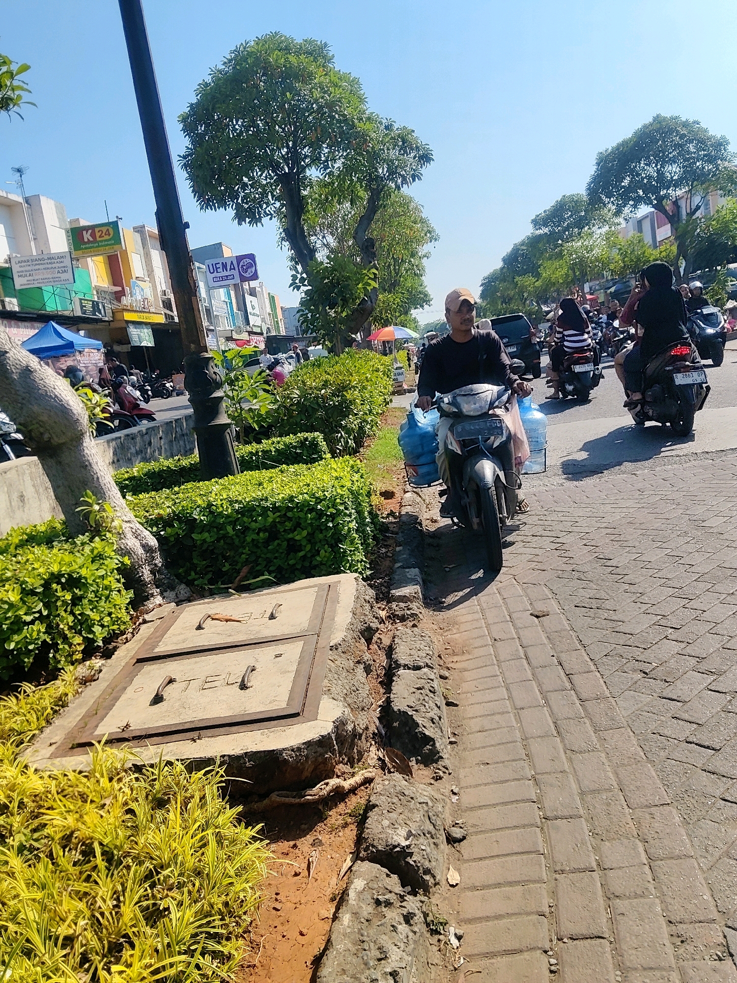 In Cibatu, Indonesia, a man on a motorcycle is seen from the front, riding on a paved sidewalk. He is wearing a dark long-sleeved shirt and a light-colored baseball cap. Two large blue water jugs are strapped to the back of his motorcycle. The motorcycle is a dark color with a license plate that is partially obscured. The man is looking forward as he rides. The background shows a street with other motorcycles and cars, as well as buildings with signs, and trees. In the foreground, there is a concrete drainage cover with metal handles, surrounded by green bushes and yellow-leafed plants. The sun is shining brightly, casting shadows on the ground.