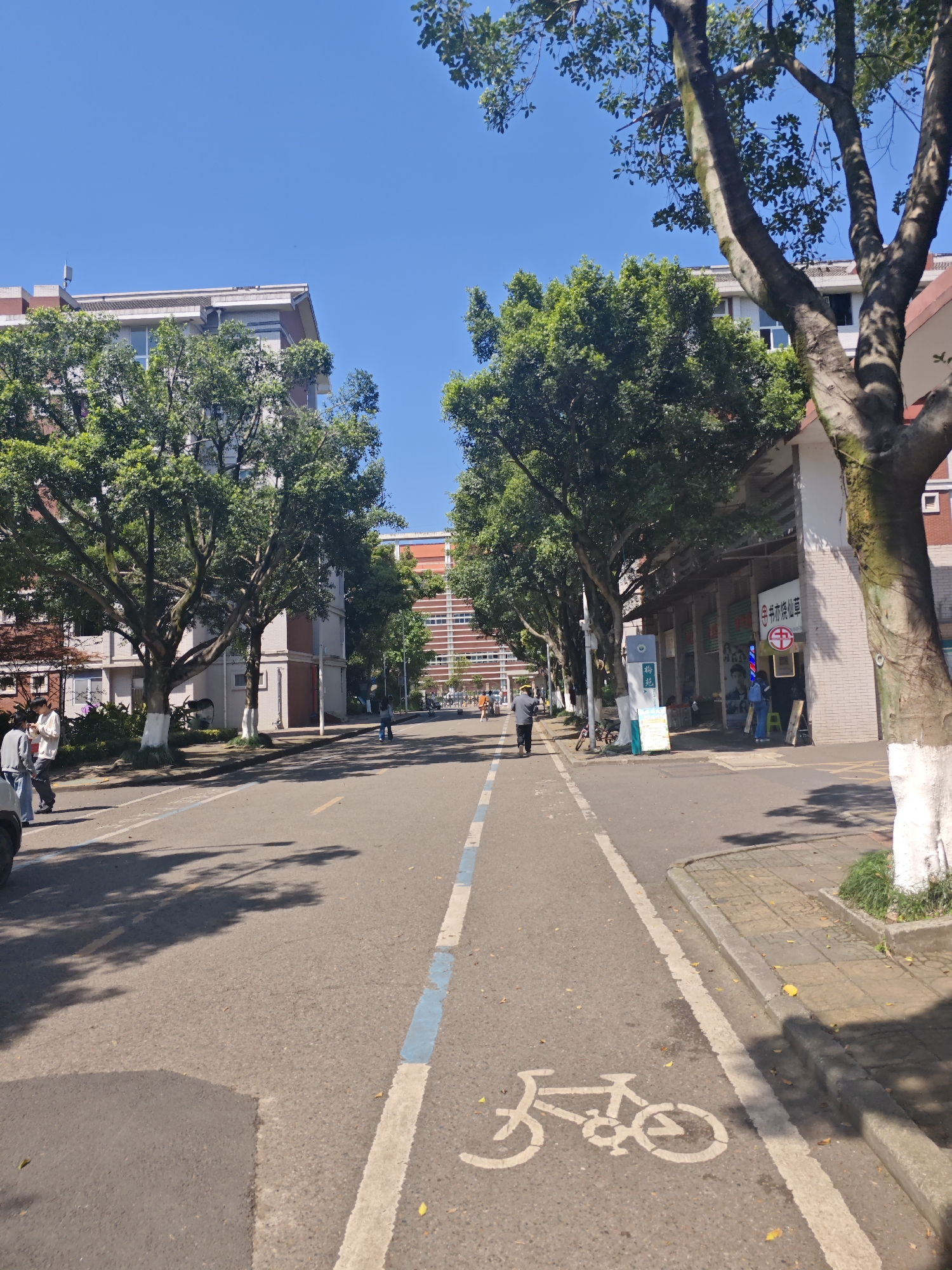 The image depicts a street scene in Chongqing High-tech Zone, China. The street has a dedicated bicycle lane marked with a painted bicycle symbol and blue lines. Buildings are visible on both sides of the street, interspersed with trees. People are walking and standing along the sides of the street. The sky is clear and blue. The buildings appear to be multi-story structures with a mix of architectural styles. Some buildings have red brick details. A sign with Chinese characters is visible near one of the buildings.