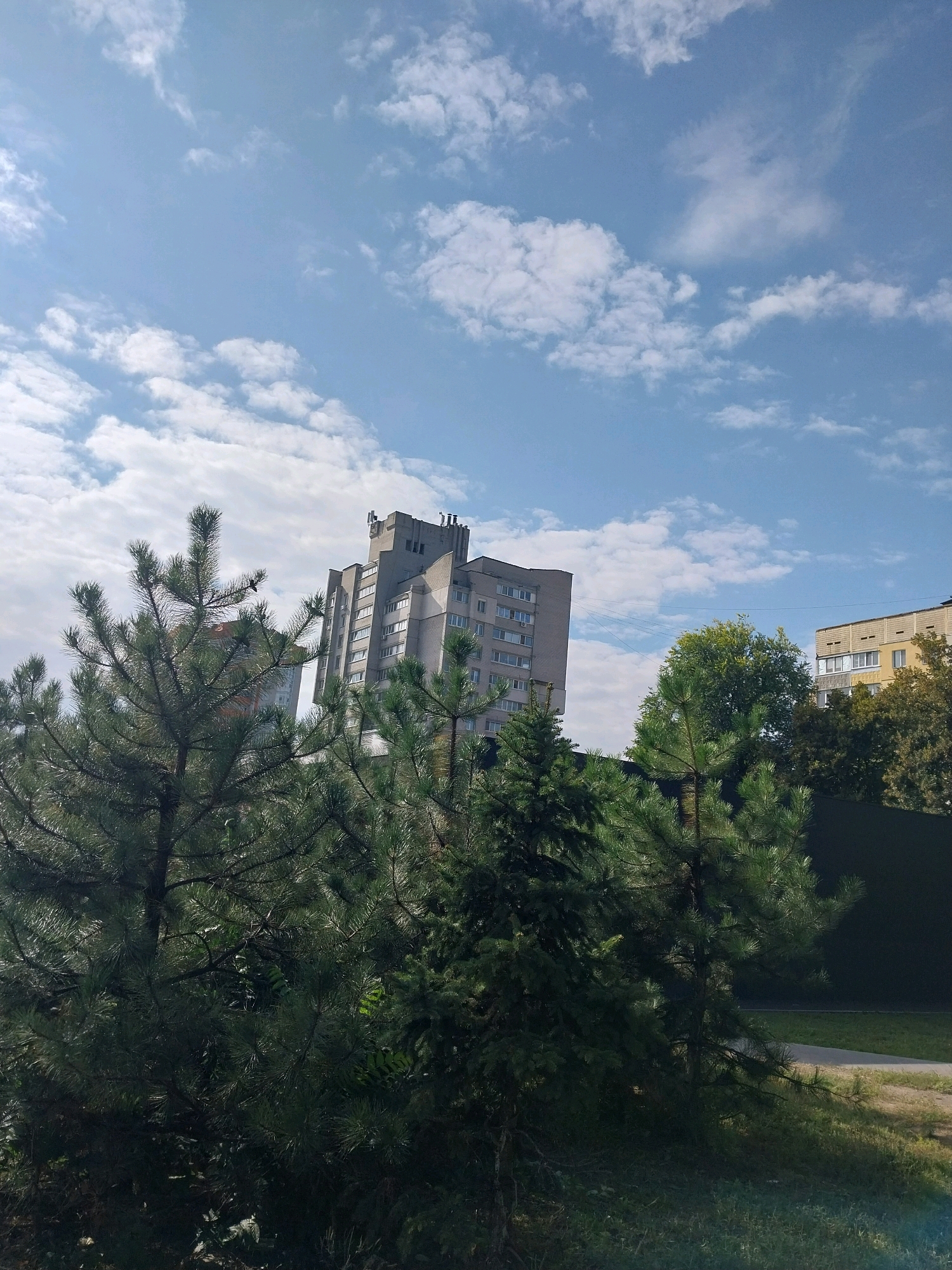 In Dnipro, Ukraine, a bright, cloudy day is captured with a view of a multi-story apartment building. The building is constructed of concrete and has a distinctive architectural style with protruding sections and numerous windows. Pine trees with dense foliage are in the foreground, partially obscuring the view of the building. In the background, another apartment building with a yellow facade is visible, along with lush green trees and a segment of a paved walkway. The sky is a clear blue, dotted with scattered white clouds.