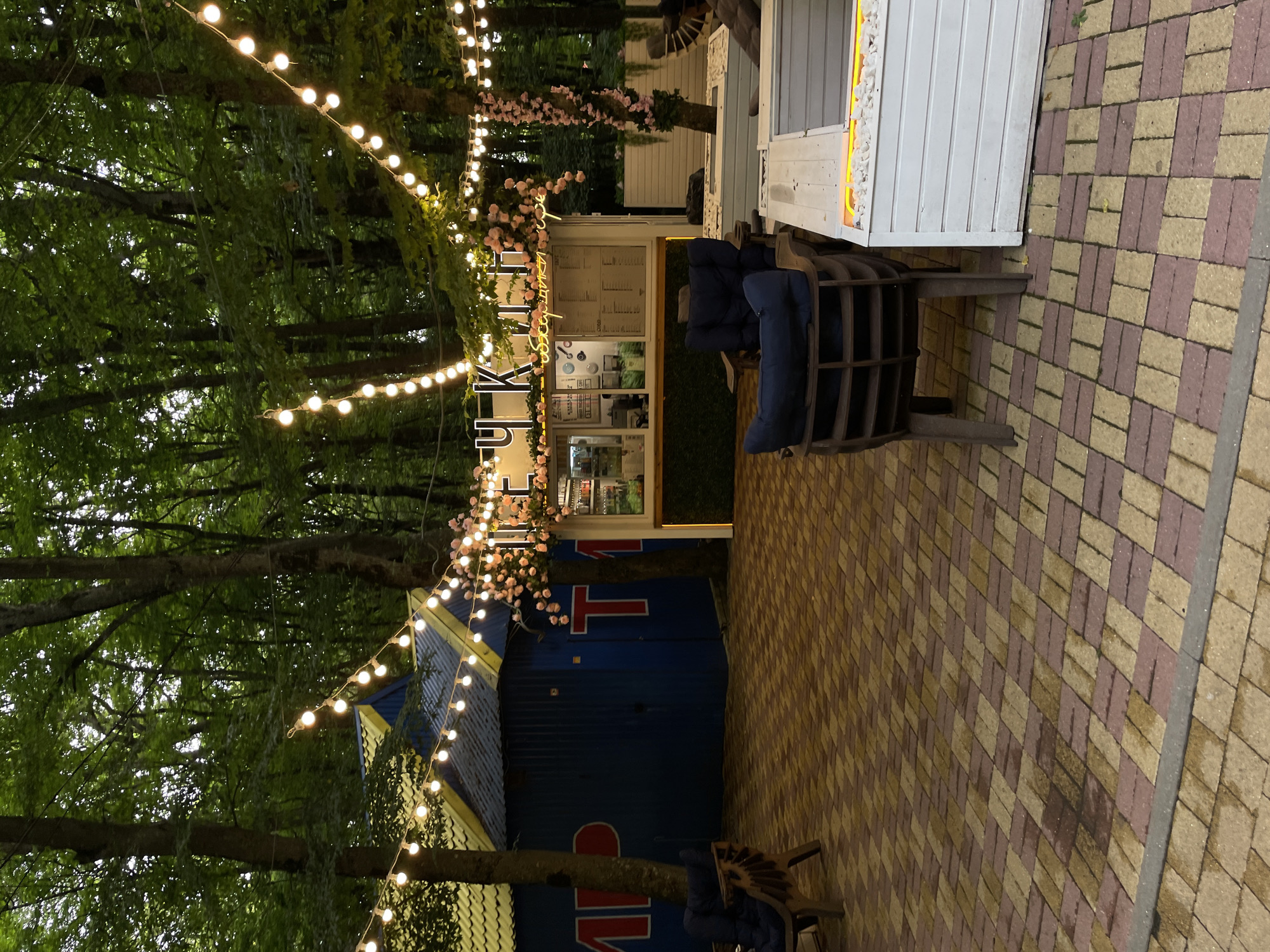 This is a ground-level, full-shot photograph of an outdoor seating area in a forested environment, likely a cafe or restaurant. In the background, a blue building with a yellow roof is visible. String lights with incandescent bulbs are strung across the scene, illuminating the trees and the seating area. There are several trees with dense green foliage, and some of the trees are decorated with pink floral accents. In the mid-ground, a white kiosk or counter with menus posted is set up, suggesting a place where food or drinks are served. Several chairs and tables are arranged in the foreground and mid-ground. One chair in the foreground is a dark brown wooden armchair with a blue cushion. To the right, there is a white planter box with some decorative stones and lighting. The ground is paved with rectangular bricks in a pattern of alternating brown and reddish-purple colors. The overall atmosphere is cozy and inviting, with the lighting creating a warm glow in the twilight. The signage on the blue building appears to be in Cyrillic. The implied location is the city of Stavropol, Russia, given the context of the Cyrillic signage and common cafe settings in such environments. There are no people clearly visible in the image.