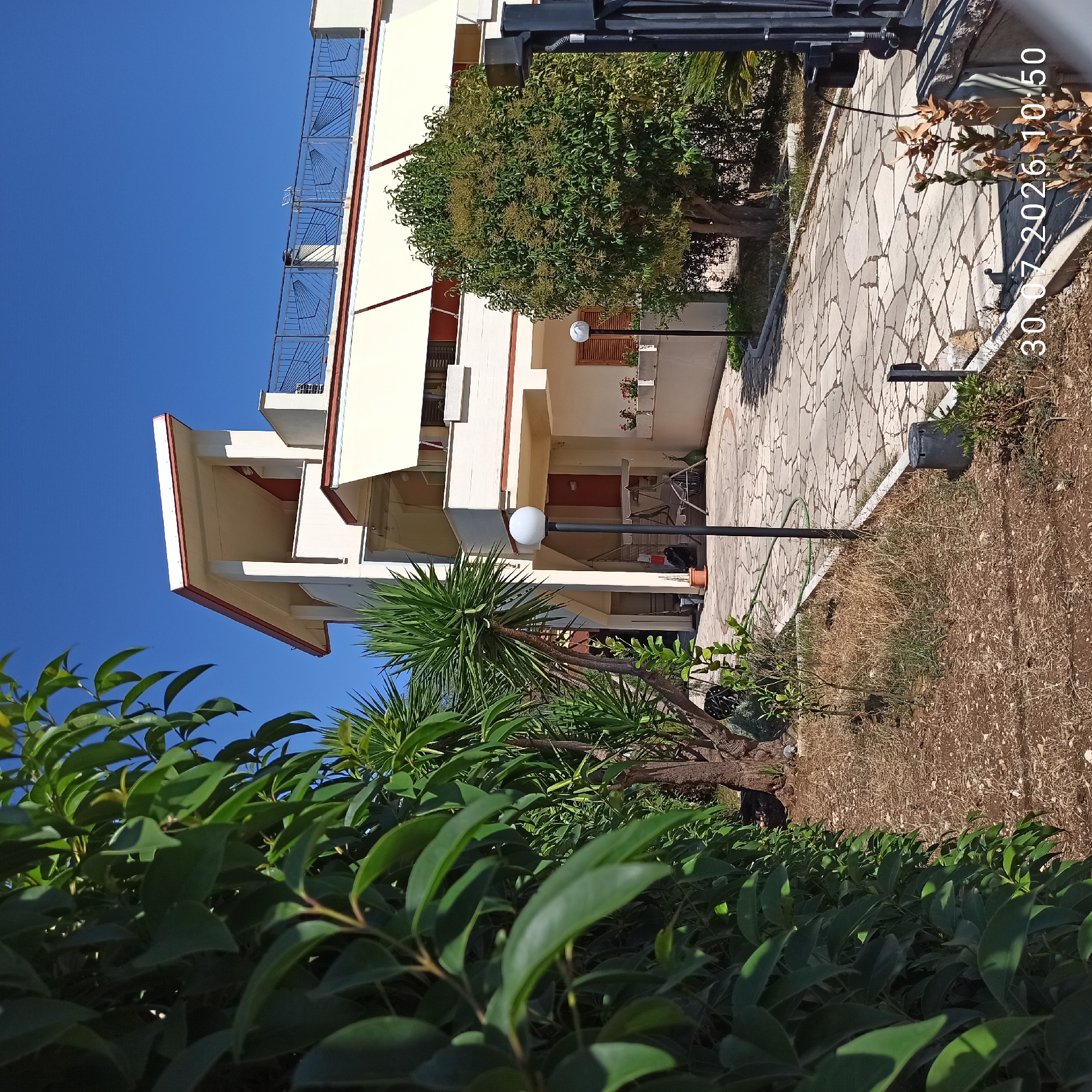 The image captures a view of a multi-story residential building with a light-colored facade and red trim, located in Terlizzi, Italy. The building features multiple balconies, awnings, and a rooftop railing. In the foreground, a lush green hedge runs along the left side of the frame, partially obscuring a pathway paved with irregular stone slabs. Several plants, including a yucca tree and a leafy tree, are visible in the yard. A black lamppost stands on the pathway, and further back, a swing set and a large potted plant are discernible. The sky is clear and blue. A timestamp in the lower right corner reads "30.07.2026 10:50".