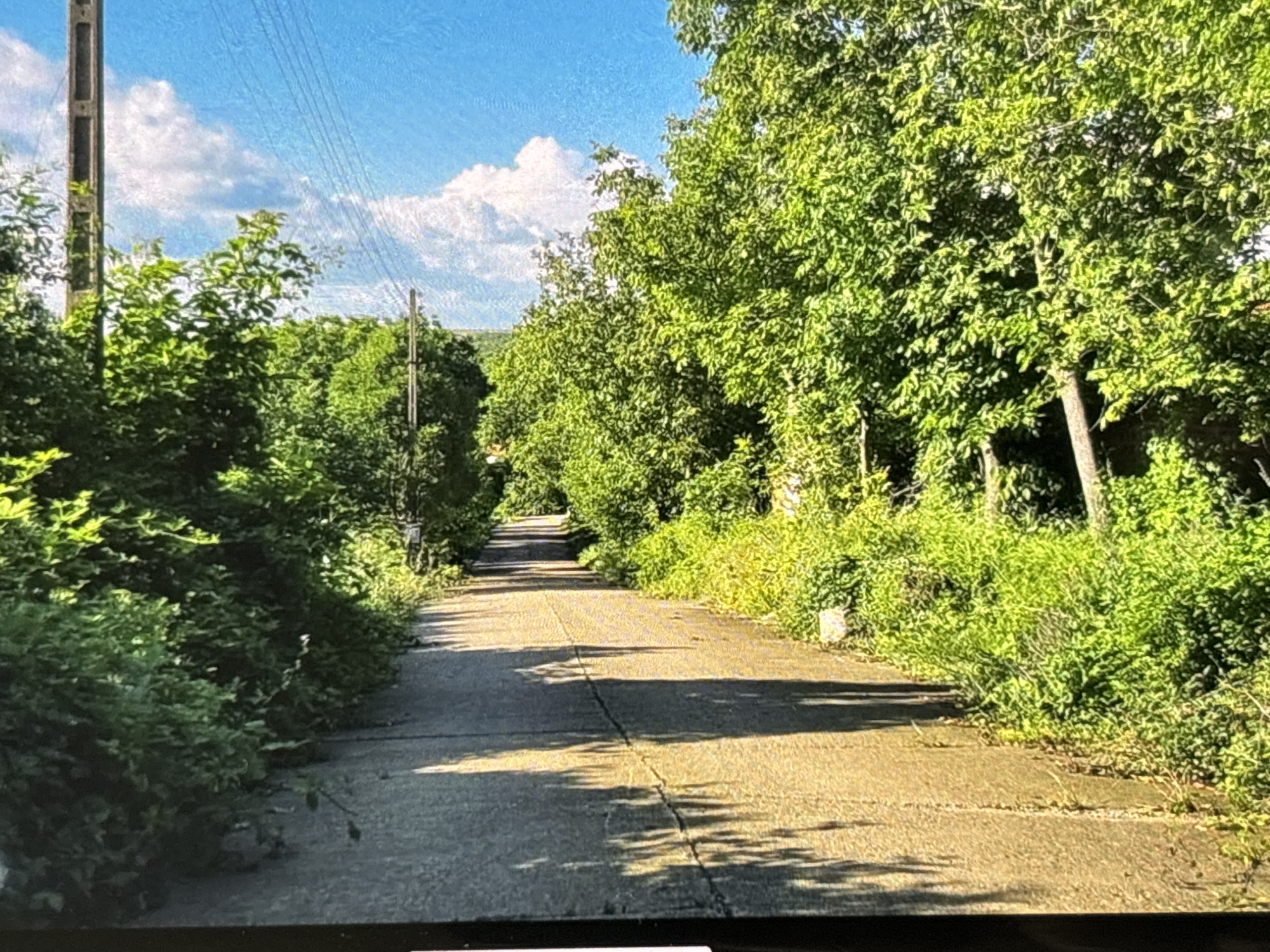A sun-drenched, narrow paved path, likely concrete, winds through a verdant landscape, receding into the distance. Lush green trees and dense undergrowth flank both sides of the path, forming a natural corridor. The foliage, vibrant with summer greens, casts intricate shadows across the path, indicating strong daylight.
In the upper left quadrant, a tall utility pole, possibly made of concrete, stands prominently, with multiple power lines stretching diagonally across the clear blue sky. Scattered white cumulus clouds drift gently in the azure expanse above the tree line. Another, thinner utility pole is partially visible further down the path on the right side.
The path itself shows signs of wear with visible cracks and some grass growing through its surface, suggesting it might be an older or less frequently trafficked route. The overall scene depicts a tranquil, overgrown lane, possibly in a rural or semi-rural area of Wolverhampton, United Kingdom, basking in bright daytime sunshine with no human activity present. There is no visible text in the image.