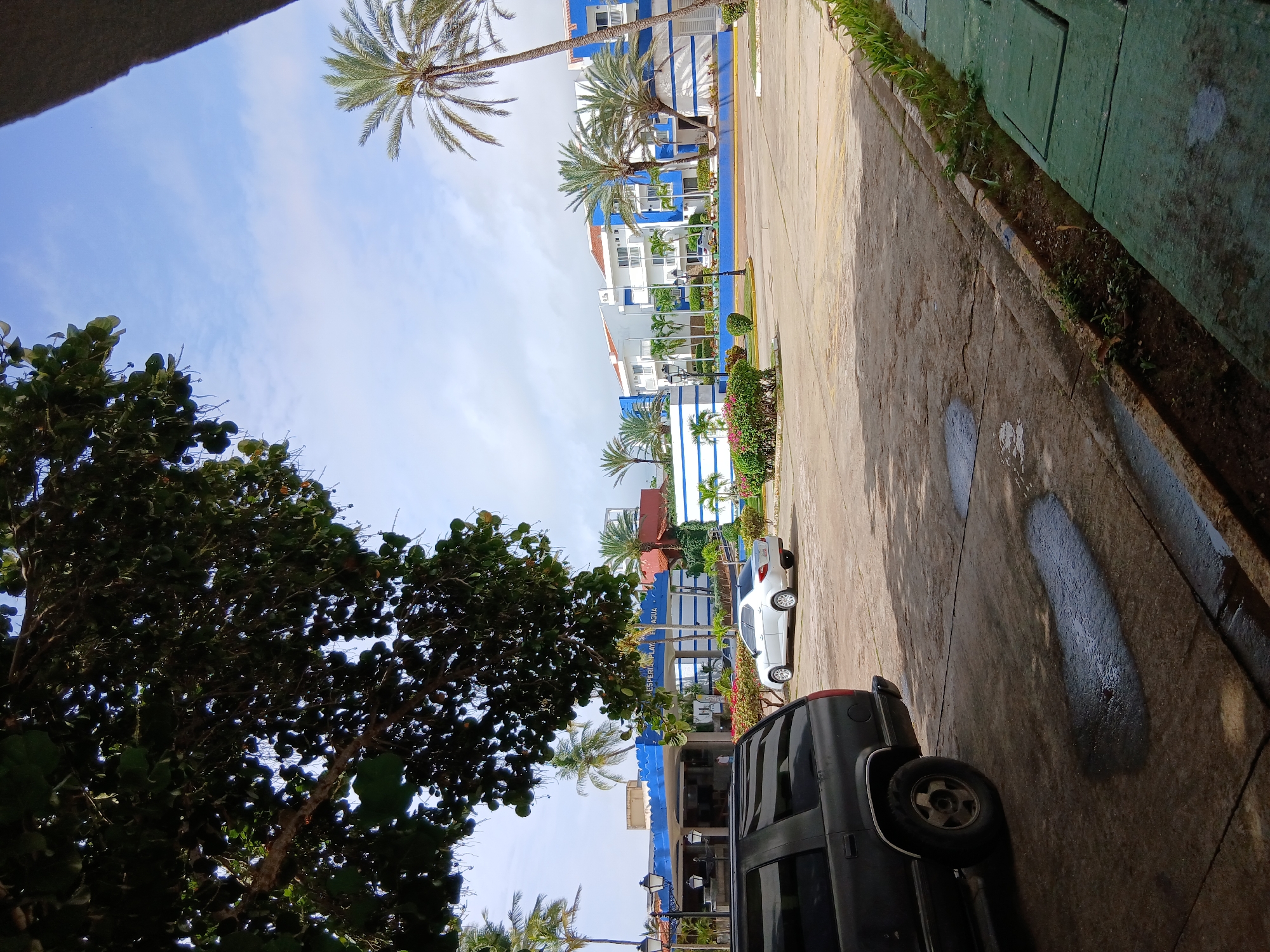 In Playa El Agua, Venezuela, this outdoor scene captures a resort complex on a bright, partly cloudy day. In the foreground, a dark-colored SUV is parked on an asphalt lot with some water puddles. To the left, a large tree with dark green foliage overhangs the scene. In the middle ground, a silver sedan is parked in front of a building with a blue roof and white accents. Palm trees are scattered throughout the area, leading to a larger resort building with blue and white horizontal stripes and multiple stories, featuring balconies and windows. In the background, the sky is a clear blue with scattered white clouds. The resort appears to be a tropical destination, with lush vegetation and the characteristic architecture of beachside hotels.