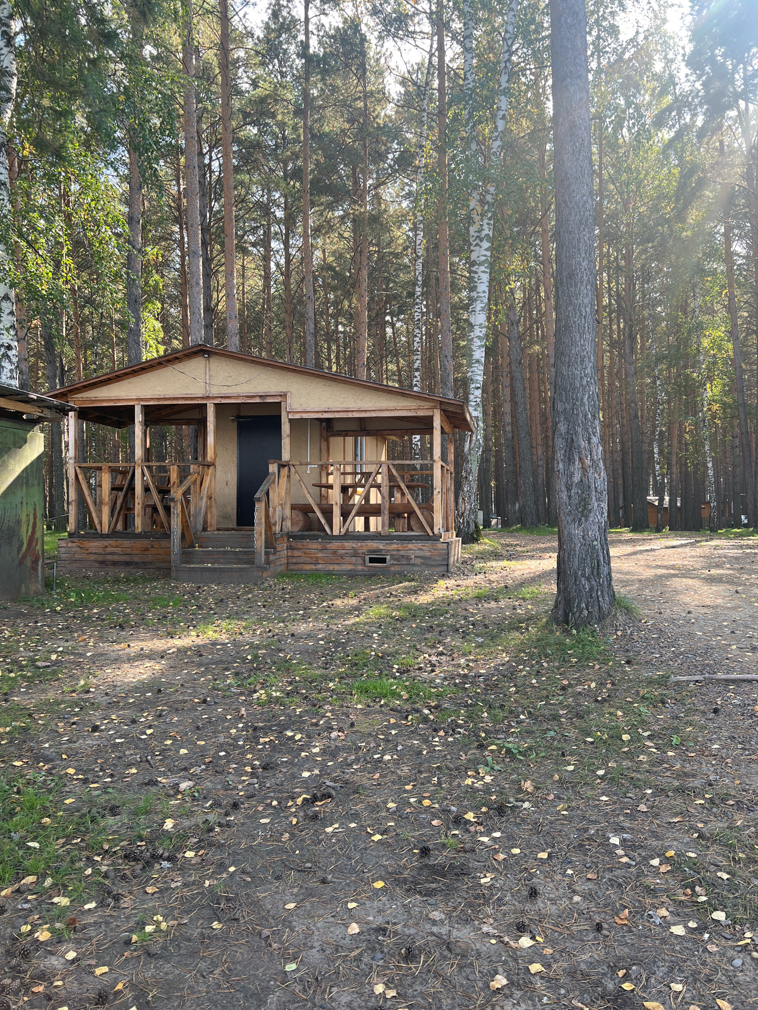 This is a vertical, eye-level, full shot of a wooden structure in a forest. The structure is a small, rustic building with a covered porch. The porch has wooden railings and picnic tables. The building has a dark-colored door and a light-colored exterior. The ground in front of the building is covered with pine needles, pine cones, and fallen yellow leaves, suggesting it is autumn. Sunlight filters through the tall trees, casting dappled shadows on the ground and the structure. The environment is a forest with many tall pine trees and some birch trees. The location is a campsite or a recreational area. The overall scene is peaceful and natural.