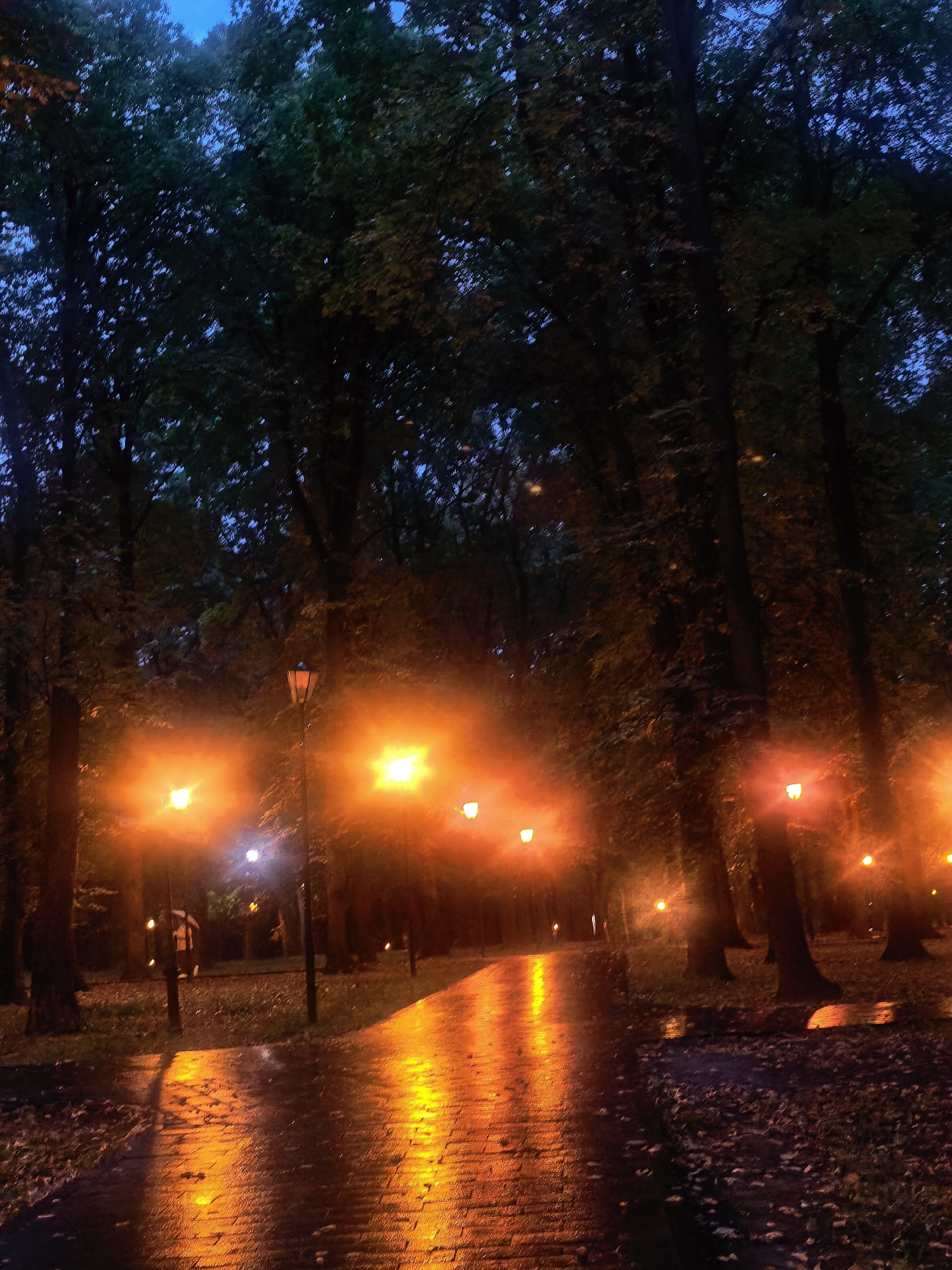 The image depicts an outdoor park scene at dusk or night. A wet, brick pathway illuminated by orange streetlights stretches into the distance, reflecting the warm glow of the lights. Tall trees line the pathway, their dark foliage creating a canopy overhead against a dusky blue sky. Fallen leaves are scattered on the ground and along the edges of the path, suggesting it is autumn. Several streetlights, emitting a warm orange light, are visible along the pathway, with one more prominent lamppost near the foreground. The overall atmosphere is serene and slightly moody due to the low light conditions and the reflective wet surfaces. There are no people visible in the image.