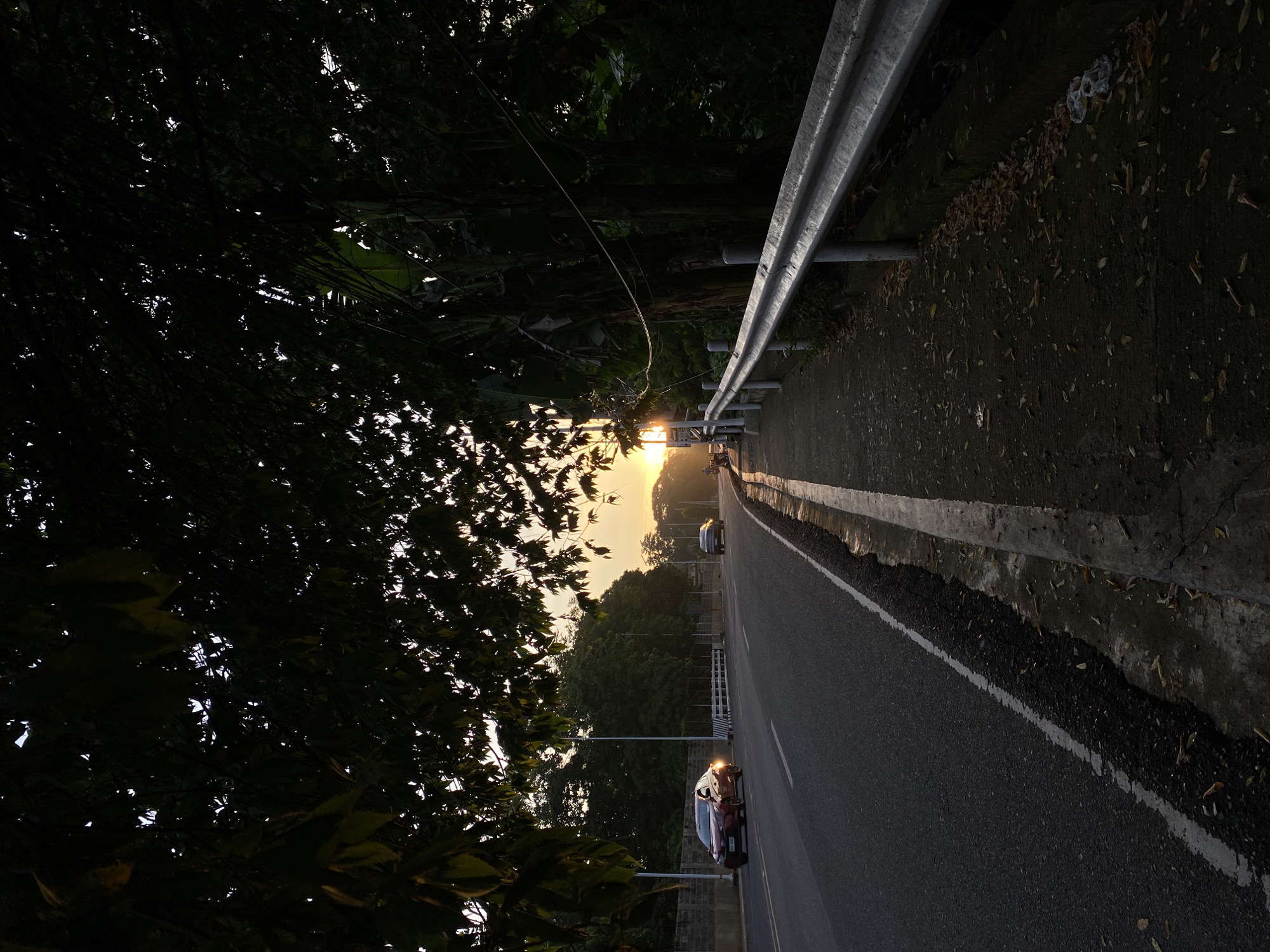 The image depicts a roadside scene during sunset in Davao City, Philippines. A red sedan is traveling on the asphalt road, its headlights illuminated. Further down the road, another car is visible. The road is bordered by a sidewalk with a metal guardrail and scattered leaves on the ground. Lush green trees and foliage line the right side of the road, with some dark leaves obscuring the upper portion of the frame. The sky exhibits a warm, orange glow, characteristic of a sunset. The overall atmosphere is peaceful and serene, with the natural elements of trees and the setting sun contrasting with the urban infrastructure of the road and guardrail.