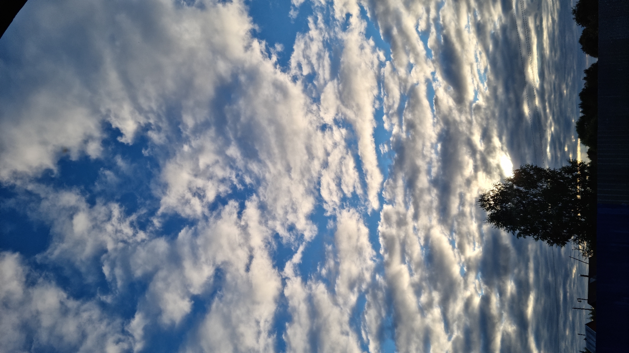 The image depicts a sky filled with scattered, fluffy white and grey clouds against a backdrop of deep blue sky. The sun is partially visible, casting rays through the clouds, creating a dramatic effect. In the foreground, a silhouetted tree stands prominently, its branches spread wide. Below the tree, the dark outlines of rooftops and a fence are visible, suggesting a residential area. The scene is set in the city of Vysokoe, Russia.