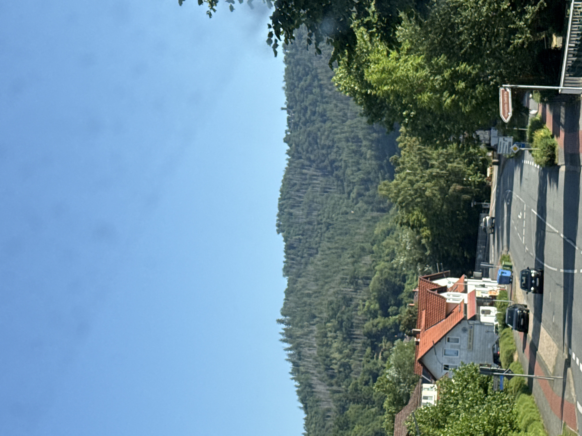 The image depicts a street scene in Bad Lauterberg im Harz, Germany, on a clear day. In the foreground, a two-lane asphalt road with white dashed lines runs through a residential and commercial area. Several cars are visible on the road, including a dark SUV and a dark sedan in the lower half of the image. A white building with a red-tiled roof, possibly a shop or a house, stands on the left side of the road, bordered by green foliage and a sidewalk. Further up the street, more buildings with red roofs are visible. The road curves upwards, leading towards a densely forested hill that dominates the background. The hill is covered in a mix of green deciduous trees and sparser, taller trees, some of which appear to be dead or damaged. The sky above is a clear, bright blue. A brown directional sign pointing to the right is visible on the right side of the road in the mid-ground. The overall impression is of a semi-rural town nestled at the base of a wooded mountain.