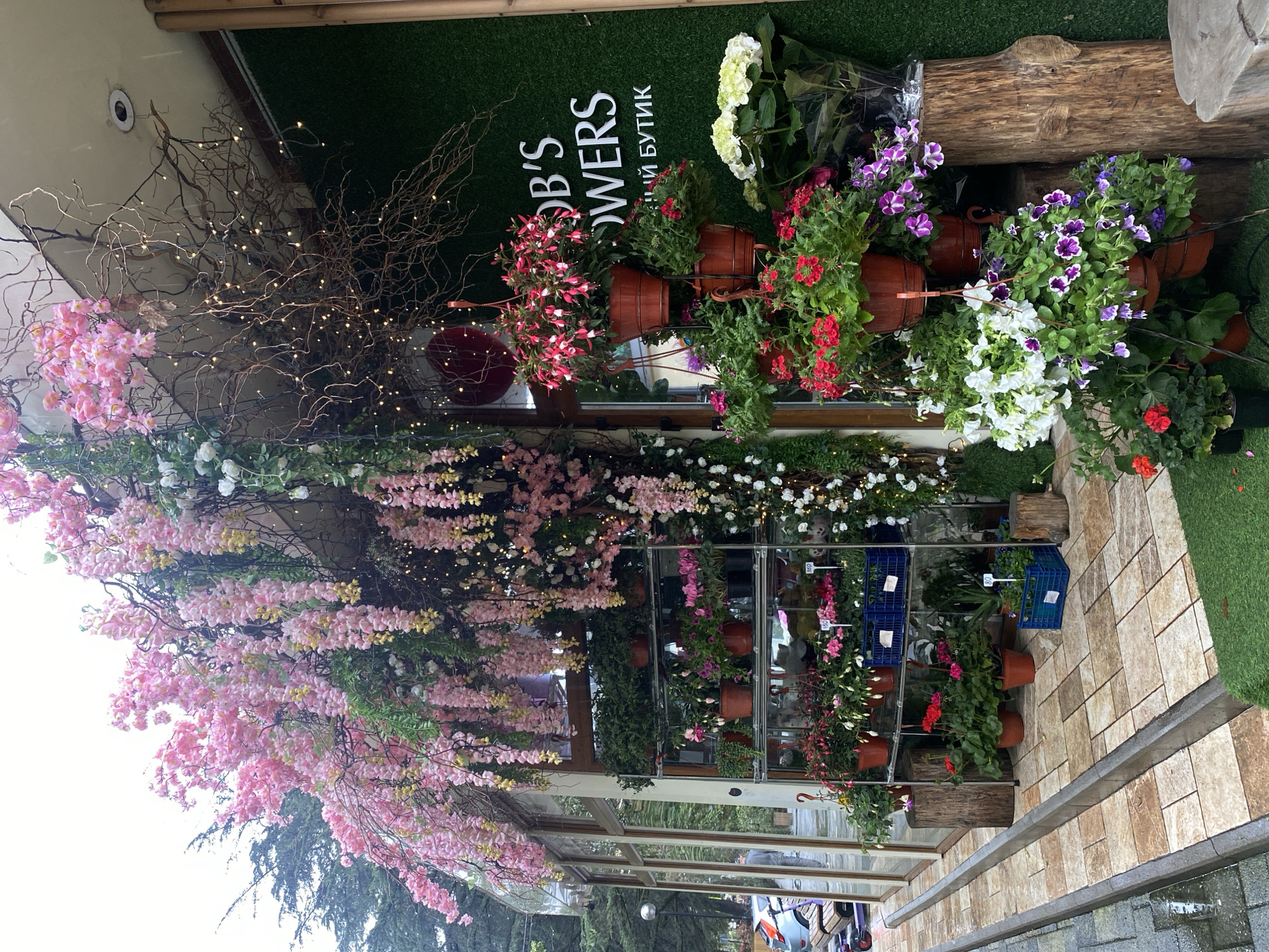 The image shows the exterior of "Bob's Flowers" in Sochi, Russia. The shop front is decorated with an abundance of flowers, including pink blossoms, white hydrangeas, and potted petunias in various colors. Some decorative tree branches with small lights are visible. A green sign displays the shop name in English and Russian. The entrance has a transparent glass roof. The sidewalk is paved with tiles. In the background, trees are visible.