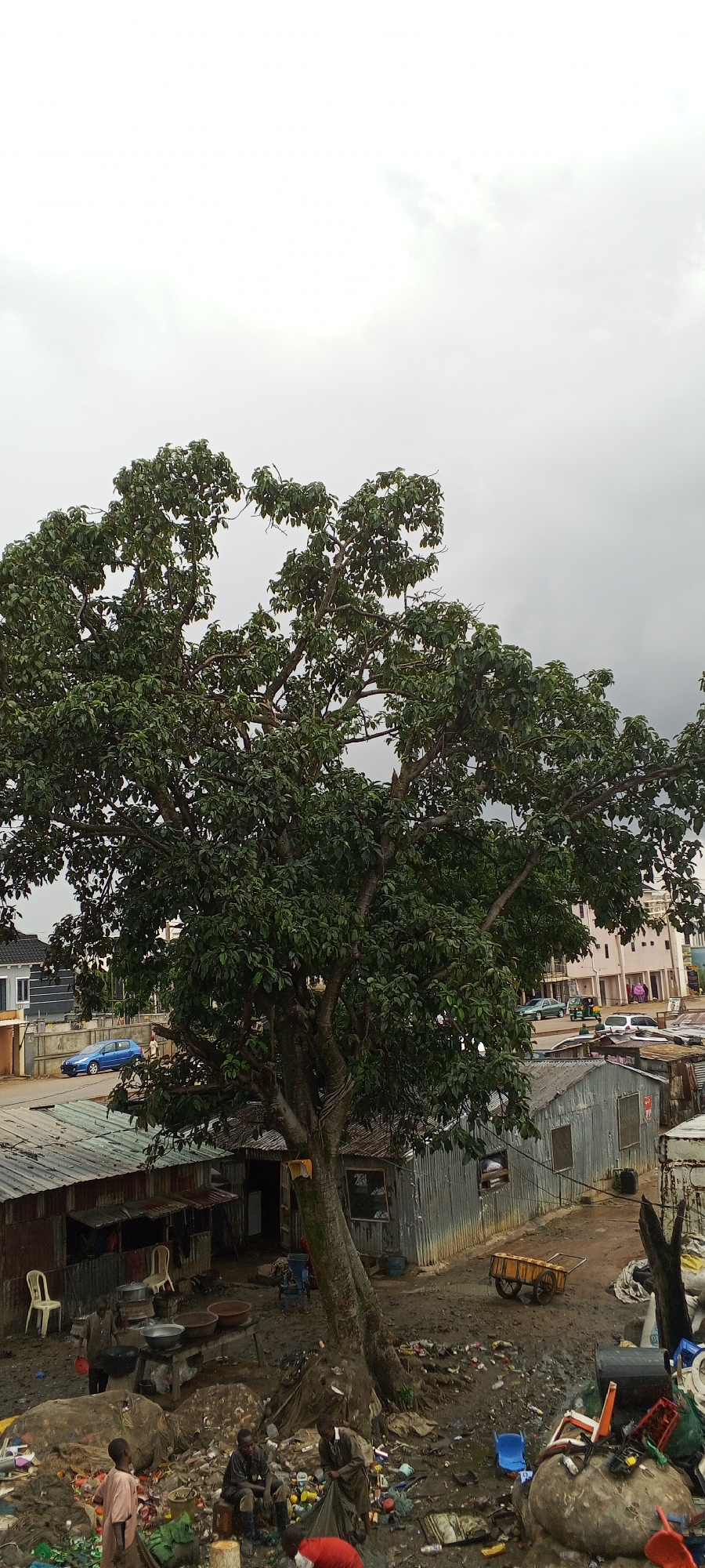 The image captures a scene in the city of Jos, Nigeria, under an overcast sky. A large tree with dense green foliage dominates the foreground. To the left, a blue car is parked on a paved road, with modern buildings in the background. In the midground and right, there are several corrugated metal structures that appear to be makeshift dwellings or shops. The ground is muddy and strewn with a significant amount of garbage, including plastic containers, bags, and other debris. Several people are visible in the scene. In the lower left, a child in a light-colored garment stands near other individuals. In the center, two men are seated amidst the trash, one wearing dark clothing and boots, and the other in a lighter-colored garment. Another man, wearing a similar light-colored garment, is seen picking through the garbage on the right. A yellow handcart with two wheels is also present on the muddy ground. The overall environment suggests a densely populated area with visible signs of poverty and poor sanitation.
