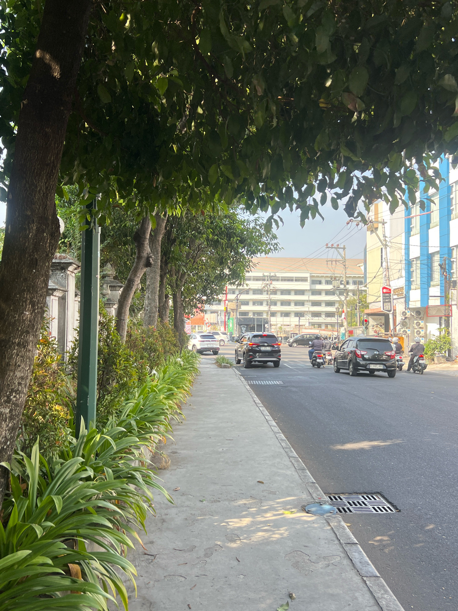 This image depicts a street scene in Yogyakarta, Indonesia. In the foreground, a sidewalk is lined with lush green plants and trees, casting dappled shadows on the concrete path. A green lamppost stands near the left edge of the frame. The street itself shows moderate traffic, with several cars and motorcycles moving. Notable vehicles include two black SUVs, one black hatchback, and several motorcycles. The background reveals buildings of varying architectural styles, including a large, multi-story white building with numerous windows and a smaller building with blue and white accents. Electrical wires and poles are visible overhead, typical of urban infrastructure. The overall impression is a busy but somewhat serene urban environment on a bright, sunny day.