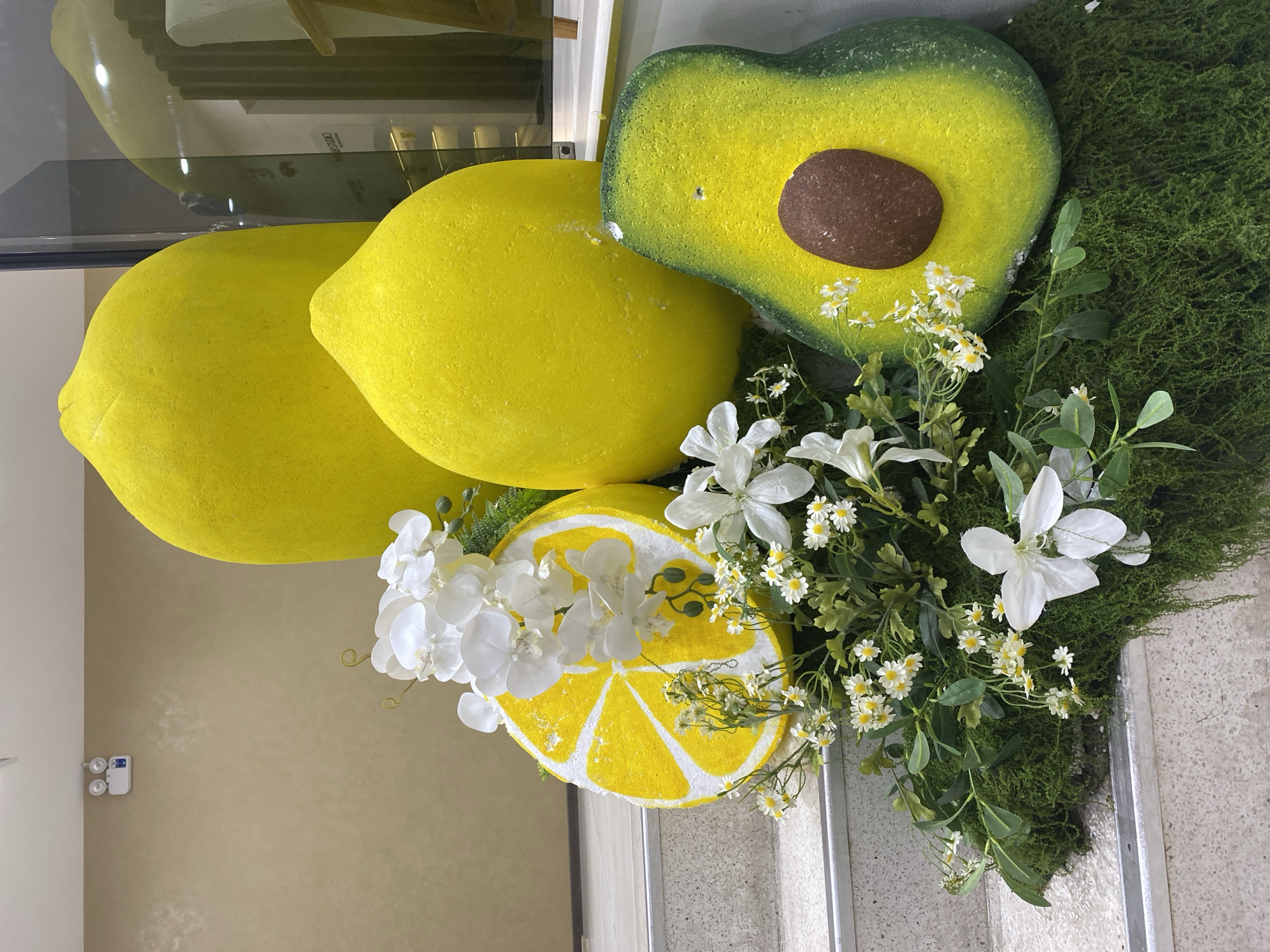 This image features a vibrant display of artificial fruits and flowers, likely for decoration. The primary subjects are oversized, bright yellow lemons and a large half-avocado with a brown pit, all placed on a bed of green moss. A slice of lemon, also a prop, is visible in the foreground. Interspersed with the fruit are white artificial flowers and green foliage, adding a floral element to the arrangement. The overall impression is a cheerful and summery scene.
The setting appears to be indoors, possibly a shop or a public space, given the presence of a white electrical box with blue buttons mounted on a cream-colored wall to the left. The lighting suggests it is daytime, though no specific time can be determined. The reflection in the glass behind the lemons indicates another part of the interior, possibly a display area with shelves or furniture.
There are no people visible in the image, and the focus is entirely on the decorative arrangement. The composition is top-down and angled, highlighting the textures and colors of the artificial fruits and plants. The location context of Đà Nẵng, Vietnam, does not provide specific visual cues in this image, as the display is a generic decorative arrangement. The mood conveyed is positive and lively due to the bright colors and fresh imagery of fruit and flowers.