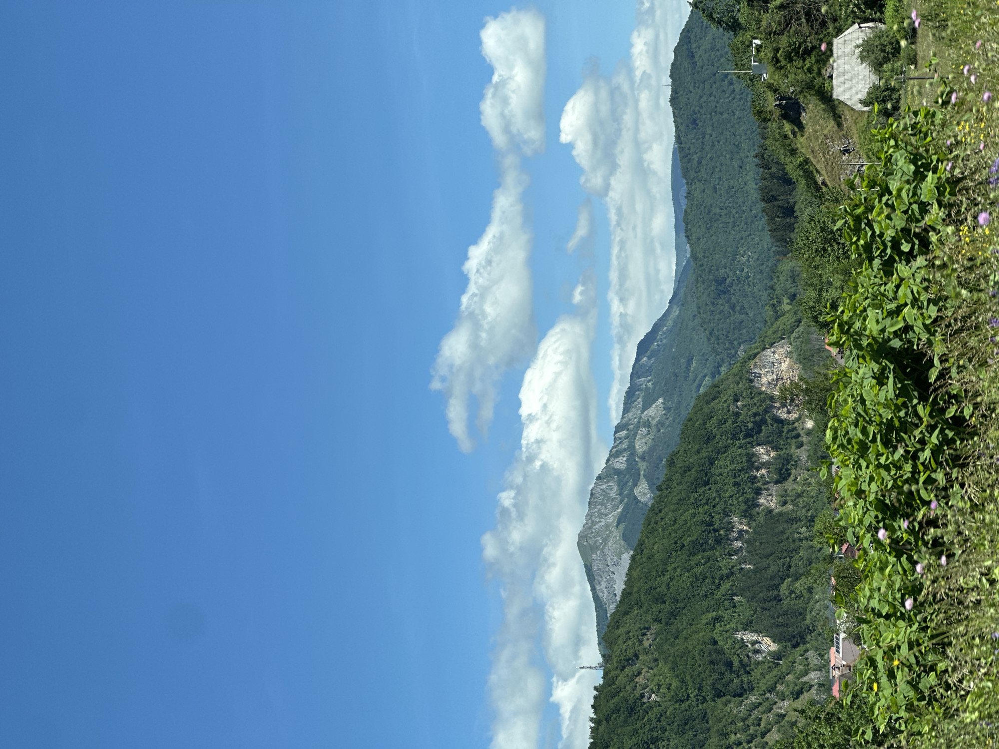 The image displays a serene mountainous landscape under a bright blue sky dotted with fluffy white clouds. The foreground is dominated by lush green vegetation, including bushes and wildflowers, with hints of purple and yellow blossoms. In the midground, a small village or hamlet is nestled amongst the trees and hills, characterized by red-tiled roofs and what appear to be modern solar panels on one building. To the right, a rustic, single-story structure with a grey, corrugated roof stands on a grassy slope. The background features rolling, tree-covered hills that transition into rugged, rocky mountains. A cellular tower is visible on the leftmost prominent hill, and another smaller tower or structure is perched on a hill to the far right. The scene suggests a rural setting in the vicinity of Jabuka, Montenegro, with a clear, sunlit day.