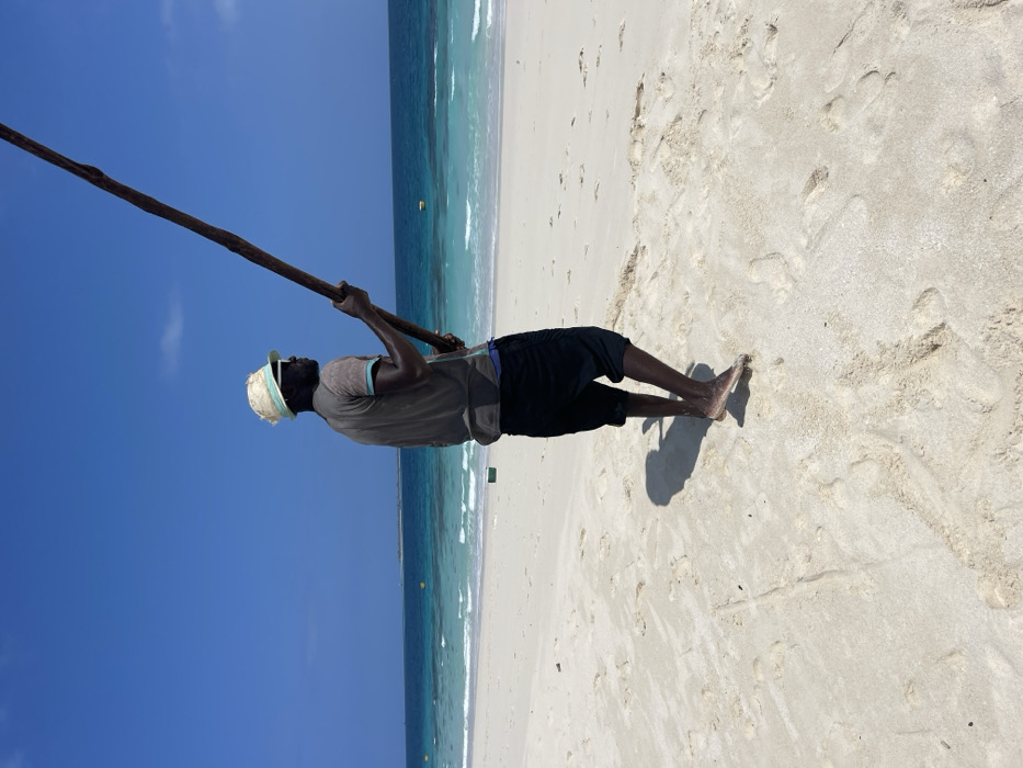 A man stands on a white sand beach next to the ocean. He holds a long, dark brown pole and wears black shorts, a grey shirt, and a light-colored hat. His shadow is visible on the sand. The ocean is light blue with waves breaking near the shore, and the sky is a clear blue. The image is oriented sideways.