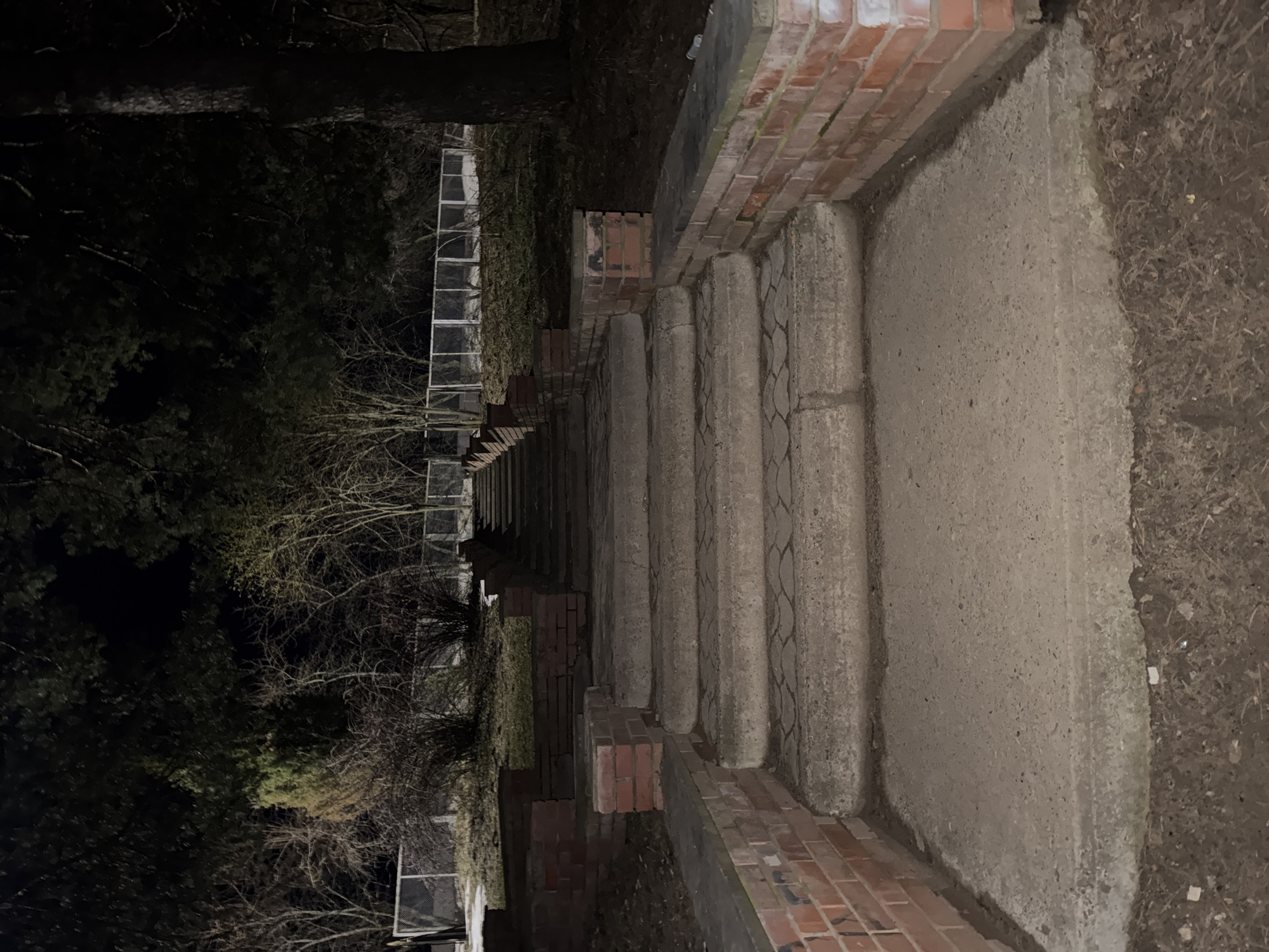 A set of brick-lined concrete steps leads away from the viewer, extending into a dark, wooded area. The steps are bordered on both sides by brick walls, with concrete balusters marking the edges of each step. The lighting is poor, suggesting nighttime or a heavily shaded location. The environment appears to be a park or garden. The presence of bare trees and foliage suggests a seasonal transition, either late autumn or early spring. The image seems to be taken in a municipal area of Chaikovsky, Russia.