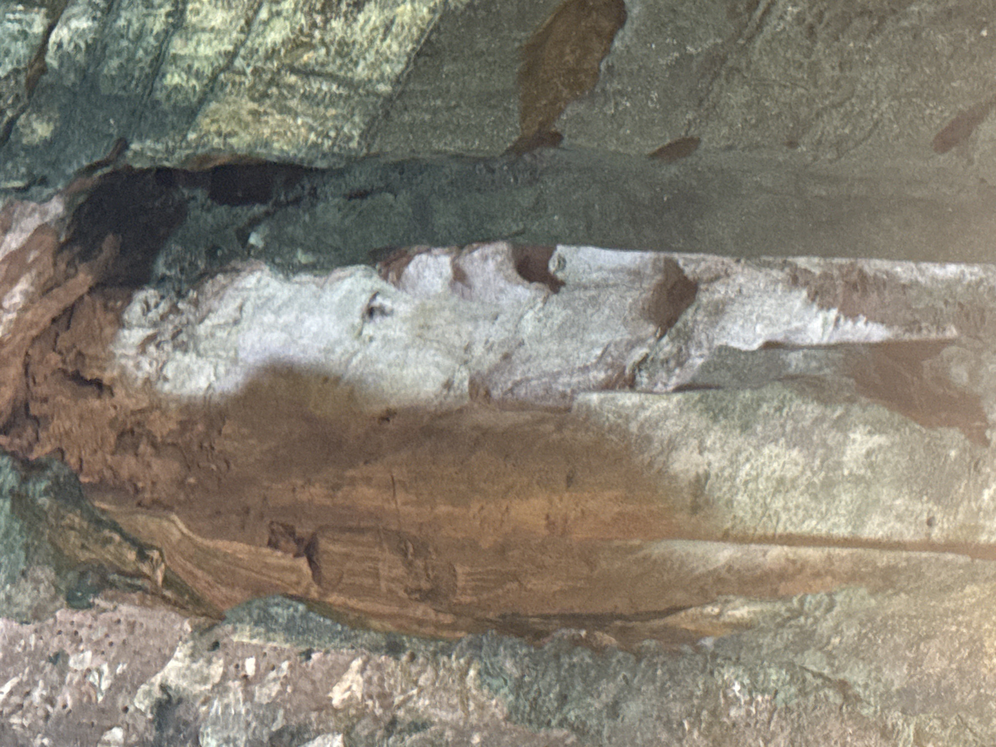 The image shows a close-up view of rock formations, possibly in a cave or rock shelter. The rocks are varied in color, ranging from dark gray to light brown and white. The surfaces appear weathered and textured, with visible cracks and fissures. There are no people visible, and the context points to a natural environment rather than an urban setting like Đà Nẵng, Vietnam. It's impossible to confirm if the picture comes from Đà Nẵng.