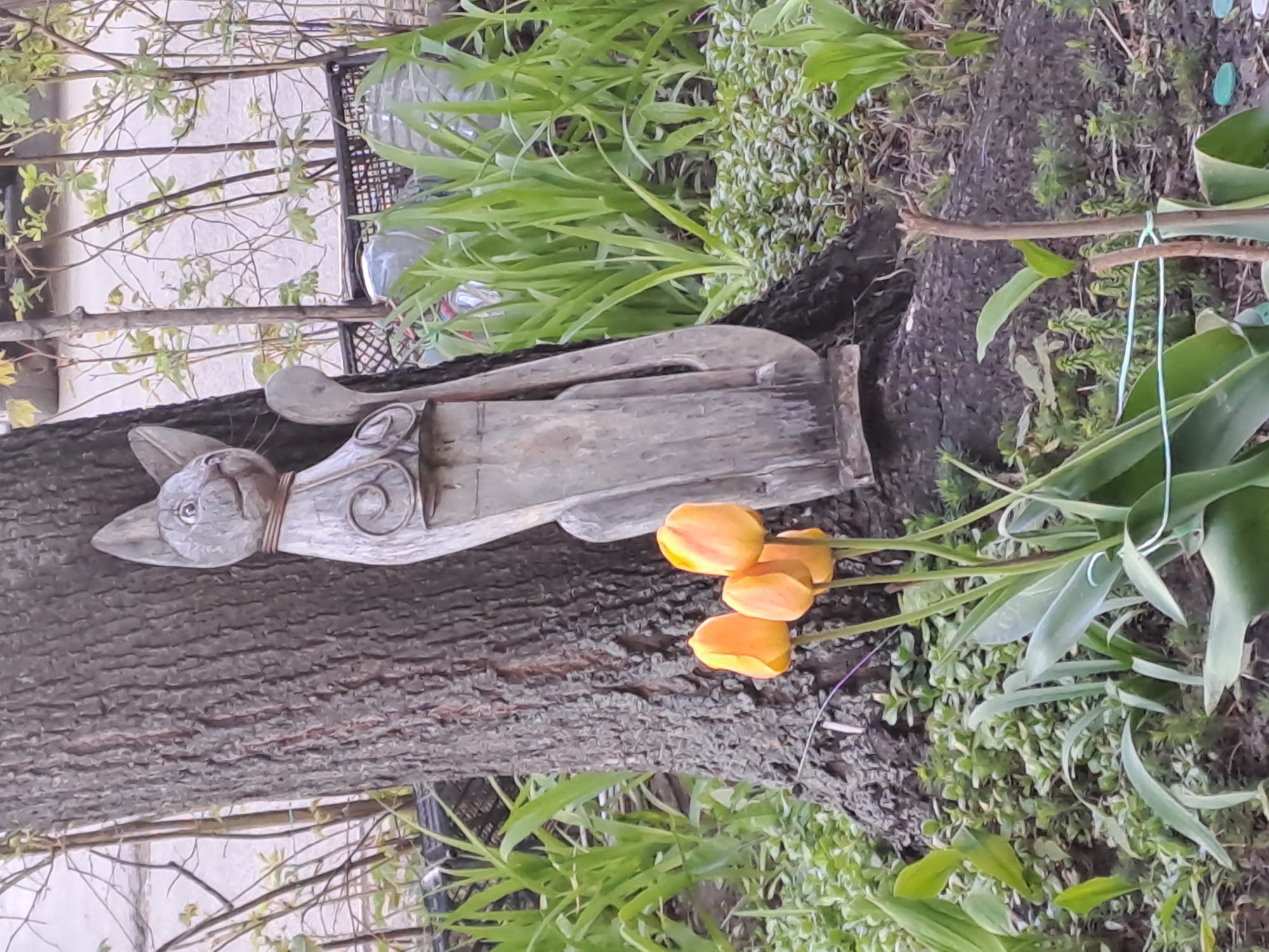A medium, eye-level shot displays a wooden cat sculpture lying on a tree trunk, surrounded by greenery and orange tulips. The sculpture, weathered and light gray, shows a stylized cat with visible facial features, decorative swirls on its body, and a curled tail. It rests horizontally on the rough, textured bark of the tree trunk. Lush green plants are scattered around the base of the tree, including grass-like blades and smaller leafy ground cover. A few vibrant orange tulips lie next to the sculpture and amongst the greenery. A plastic crate can be seen in the background. The picture was taken in Elektrostal, Russia.
