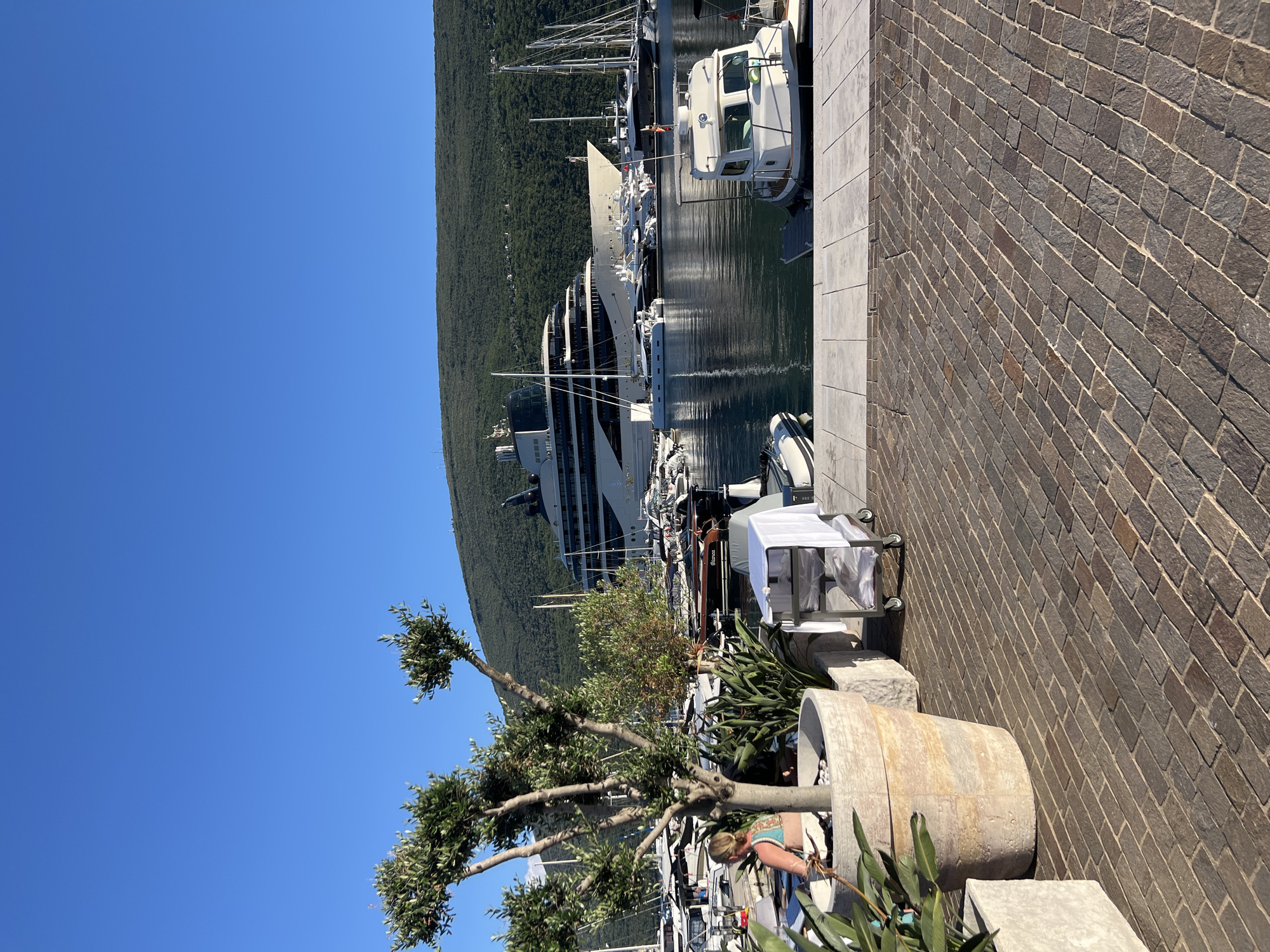 In Đenovići, Montenegro, a waterfront scene unfolds under a clear blue sky. In the foreground, a cobblestone walkway leads to a stone planter containing a small olive tree. Beyond the tree, a service cart covered with a white cloth is parked near a docked white boat. In the background, a large superyacht is moored in the harbor, surrounded by numerous other smaller yachts and sailboats. A verdant, tree-covered hill forms the backdrop to the scene. A woman, partially visible, is seated at a table to the left of the frame.