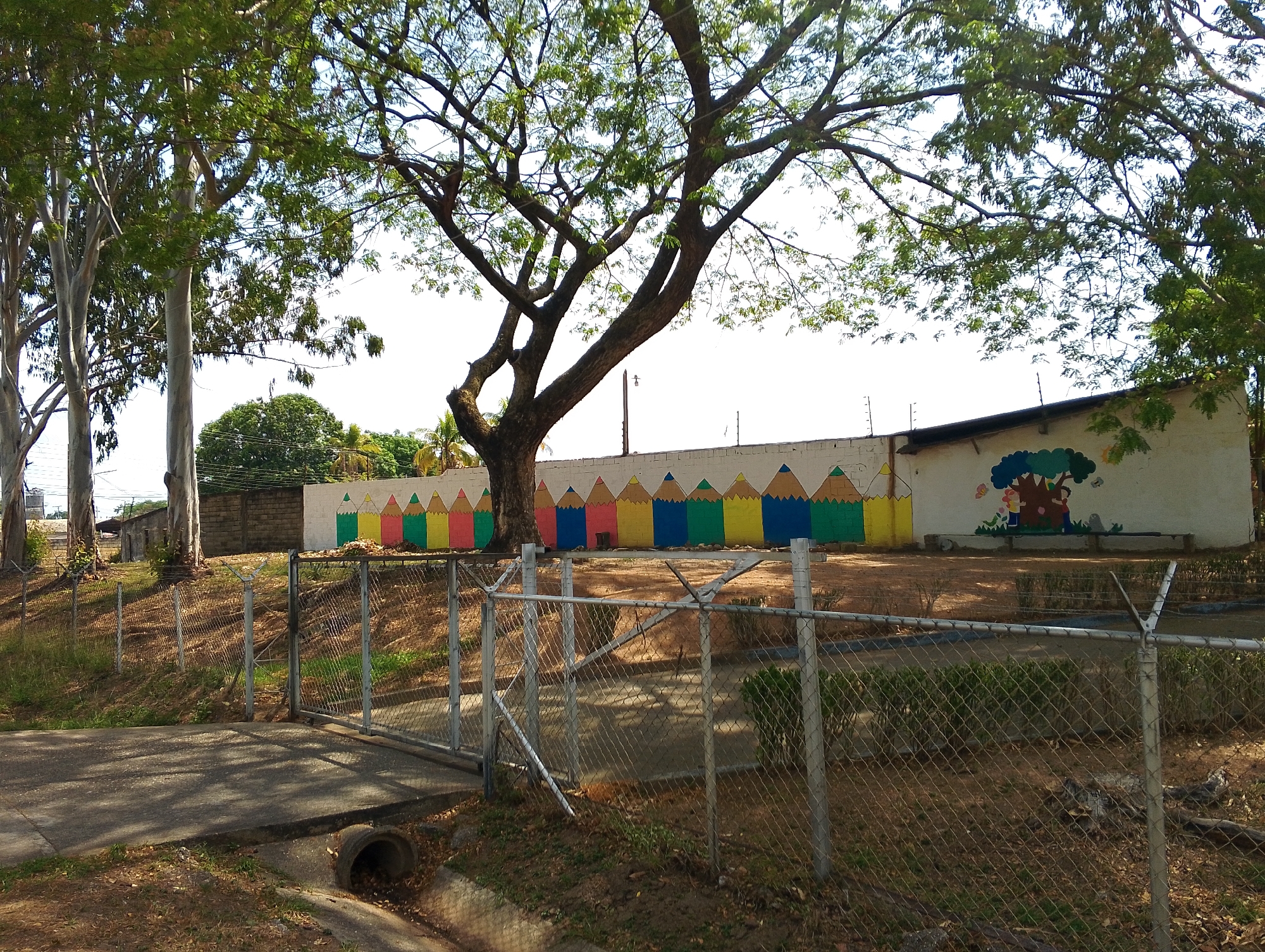 The image shows an exterior view of a building with a fence, potentially in the city of San Carlos, Venezuela. The building has a white wall adorned with a mural of colorful pencils and a painting of a tree with figures underneath. A chain-link fence runs along the perimeter, and there is a gate leading to a paved area. The foreground is dominated by foliage and trees, which partially obscure the view of the building. The image is taken during the daytime under a partly cloudy sky.