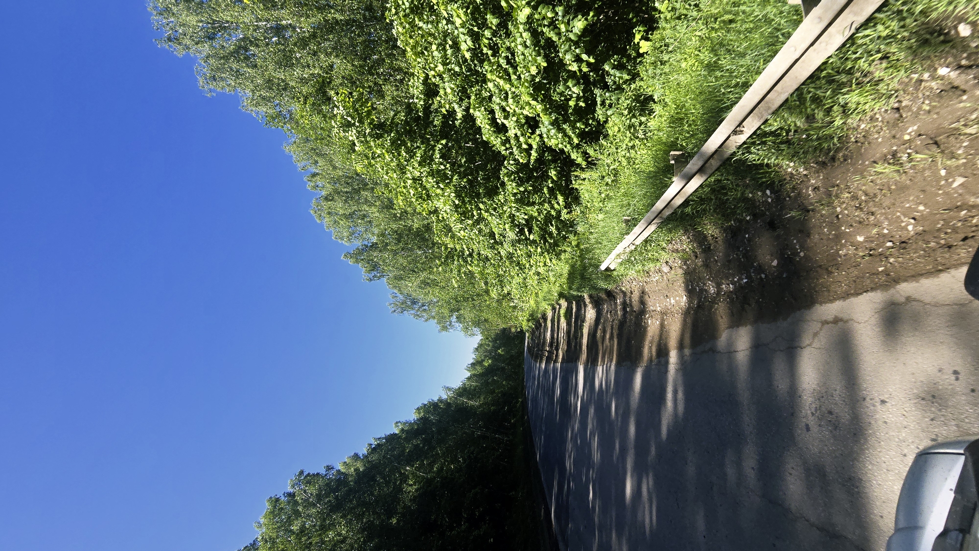 The image shows a rural road lined with lush green trees on both sides. The road appears to be paved with asphalt and has some cracks and shadows from the overhead foliage. The sky is a clear, bright blue. To the right of the road, there is a wooden guardrail running along the edge, with tall green grass and some dirt. The scene suggests a sunny day in a natural setting. The location is identified as Актюбинский, Russia. The image appears to be taken from a moving vehicle, as indicated by the slight blur and the perspective of the road. There are no people or animals visible in the image.