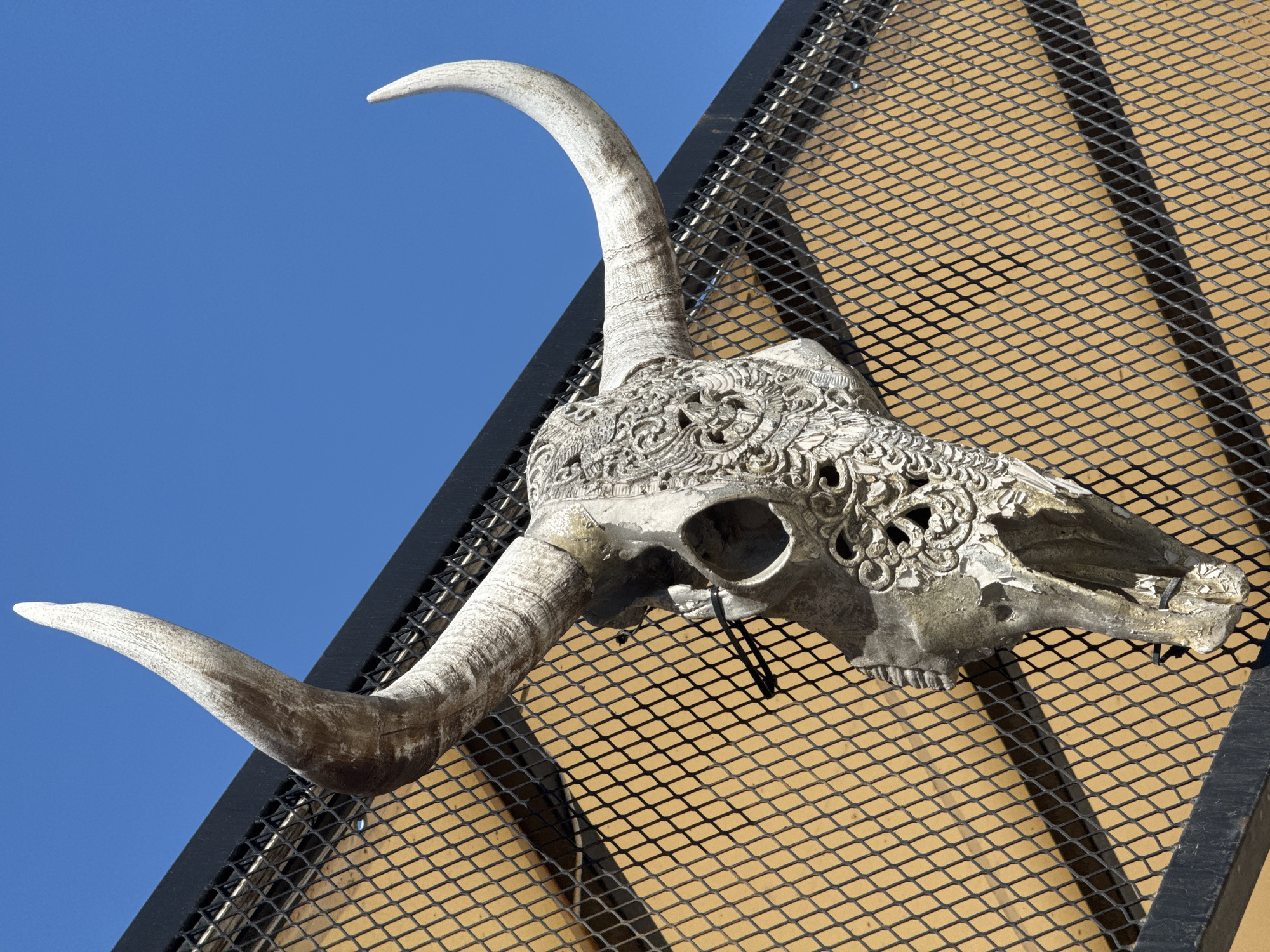 An ornate, white bull skull with long, curved horns is mounted on a grid structure with a black frame. The background shows a clear blue sky. The location is Varna, Bulgaria.