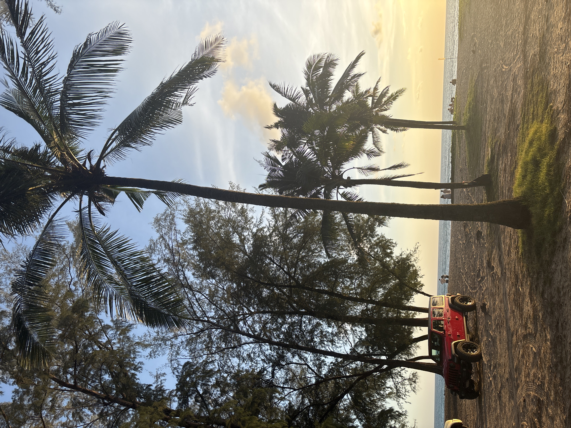The image depicts a beach scene in Choeng Thale, Thailand, during what appears to be late afternoon or early evening. A red Jeep is parked on the sandy beach in the foreground, with tire tracks visible in the sand. Several palm trees, characteristic of a tropical environment, are scattered across the scene, with their fronds silhouetted against the sky. In the background, the ocean meets the horizon, and a few people are visible on the beach, some seated and others standing. The sky is a blend of blue and soft yellow, with hints of clouds, suggesting the setting sun. Trees, possibly casuarina trees, line the edge of the beach, creating a shaded area.