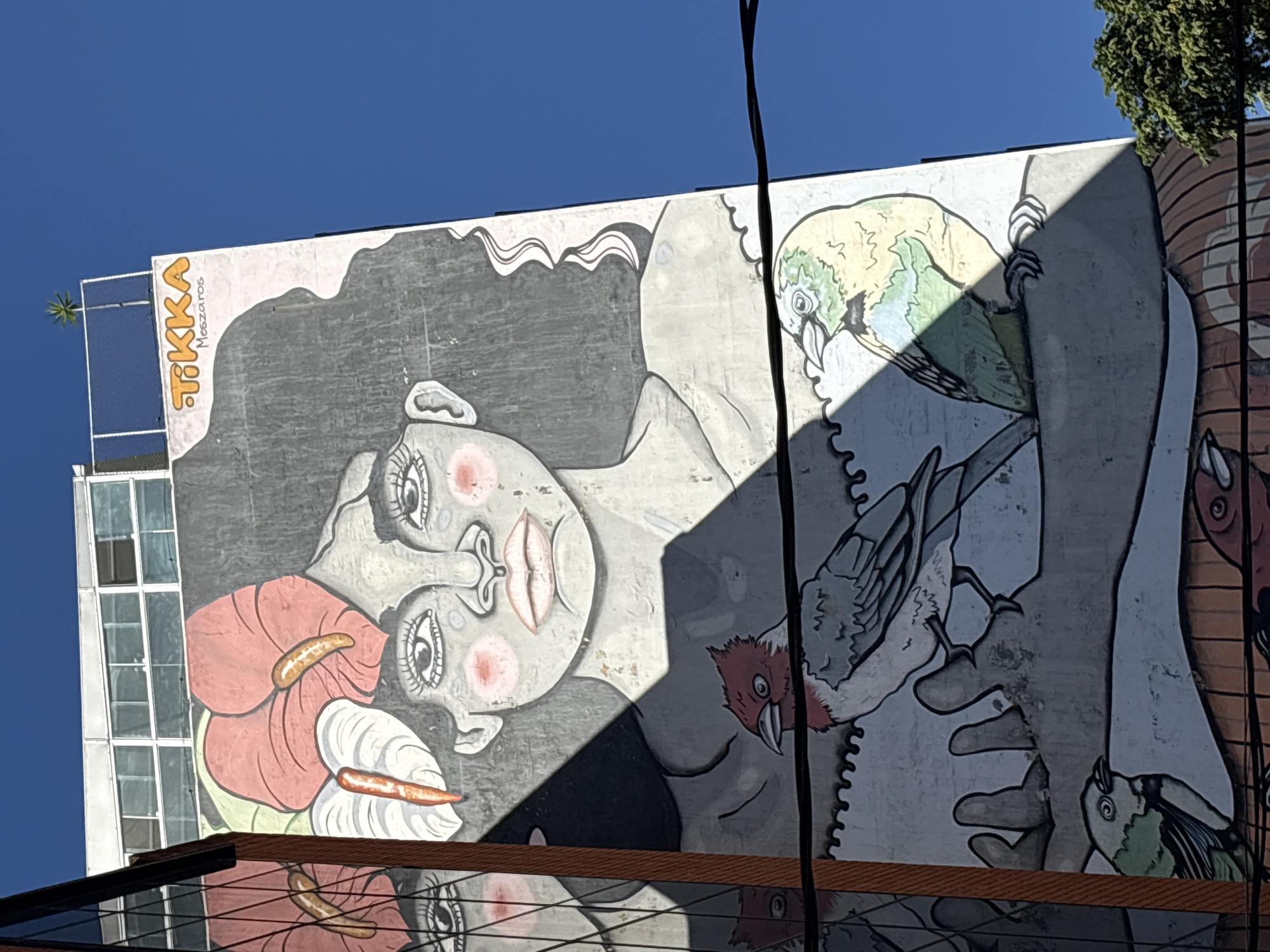 The image captures a close-up view of a mural painted on the side of a building in São Paulo, Brazil. The mural depicts a stylized portrait of a woman's face with large eyes, rosy cheeks, and full lips, framed by dark, wavy hair. She is adorned with vibrant pink and white anthurium flowers. Below the woman's face, the mural transitions to show various birds. One bird, with a red head and grey body, perches on a large, stylized hand. Another bird, predominantly yellow and green, sits beside it. The lower portion of the mural shows more birds, some appearing to be within or near cages. The mural is partially obscured by shadows from a nearby structure and electric wires run across the lower part of the image. The sky above is a clear, bright blue. The building itself appears to be a multi-story structure with windows visible at the top, and a sign reading "TIKKA Meszaros" is present near the top right.