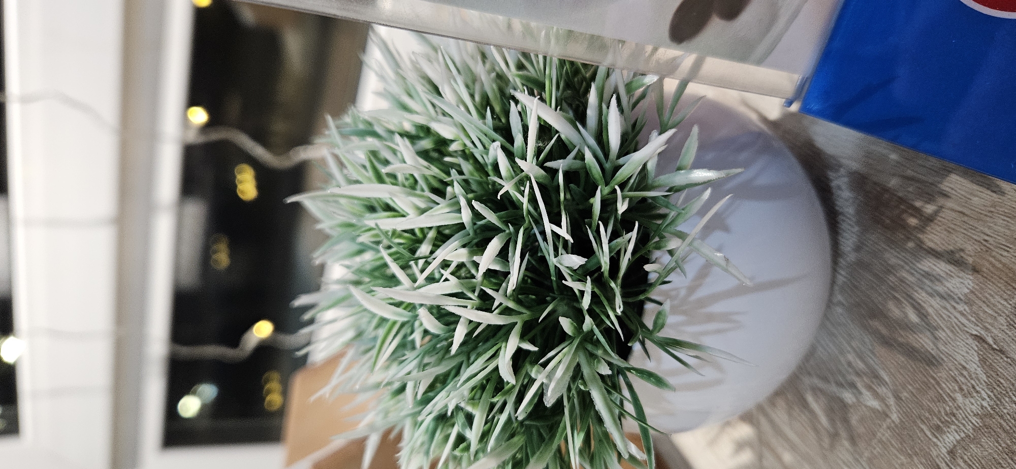 A close-up shot captures a small, artificial plant with pointed, green and white leaves arranged in a dense cluster within a white ceramic pot. The pot rests on a wooden surface that appears to be a table. In the blurred background, a window reveals faint bokeh lights, suggesting an indoor setting at night. To the right, a clear plastic object with a blue base is partially visible, with a portion of a logo showing red and white colors. The overall lighting is dim, with highlights on the plant's leaves and the reflective surfaces. The scene appears to be an interior space, possibly a cafe or restaurant, given the background lights. There are no people visible in the image, and the plant is the sole focal point. The specific location in Vitsebsk, Belarus, cannot be determined from the visual information provided.