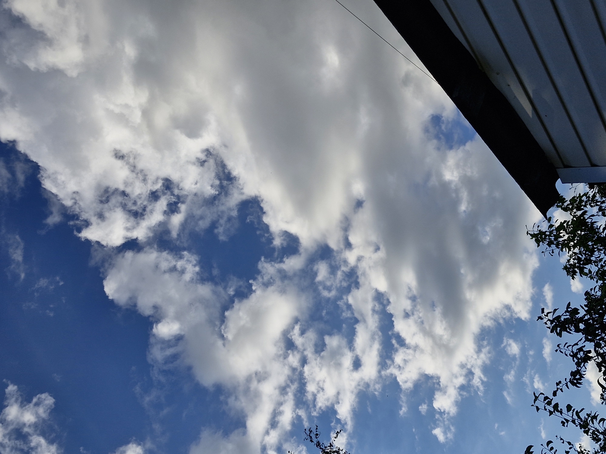 The image depicts a bright, cloudy sky with a section of a building in the lower right corner. The building appears to be sided with horizontal white clapboard and has a dark, sloped roof. Silhouetted tree branches with dark leaves are visible in the bottom left and bottom center of the frame. The sky is a vibrant blue, with numerous white and gray clouds scattered across it. Some clouds are thin and wispy, while others are large and voluminous. The lighting suggests it is daytime, likely afternoon, with sunlight illuminating the clouds from the side. There are no people or visible animals in the image. The scene appears to be an outdoor view from a residential area.