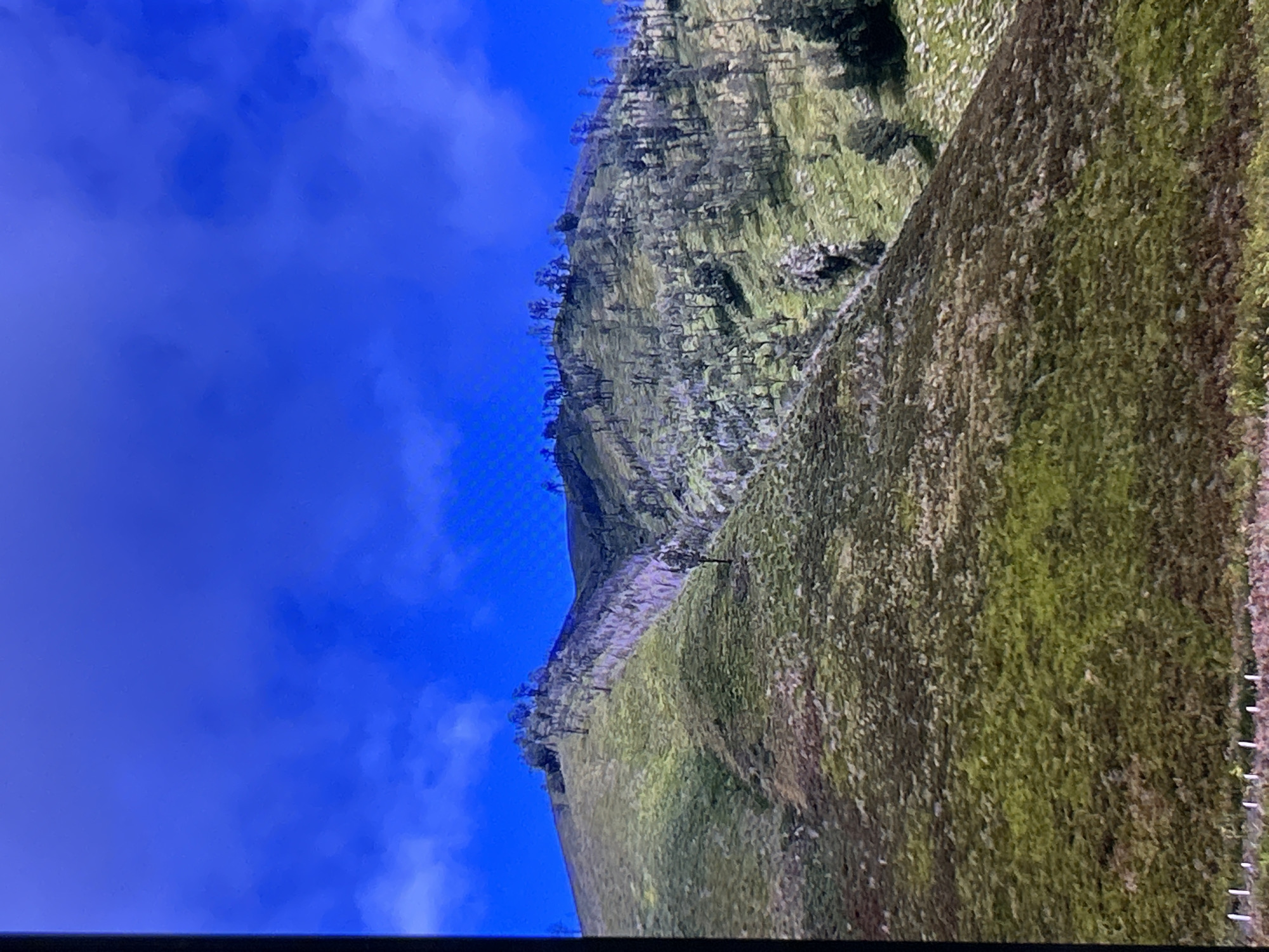 The image shows a mountainside with sparse trees and vegetation under a bright blue sky. The terrain is uneven, with slopes covered in a mix of green and brown vegetation, suggesting either dry grass or a type of shrub. Some areas of the mountain appear to have suffered from fires, as indicated by the presence of dead, bare trees scattered across the landscape. The sky is mostly clear, with a few wispy clouds. The bottom of the image shows a faint line of white posts, possibly marking a boundary or fence, and a patch of reddish-brown ground cover. The image does not depict any people, urban structures, or specific landmarks that would place it in Depok, Indonesia.