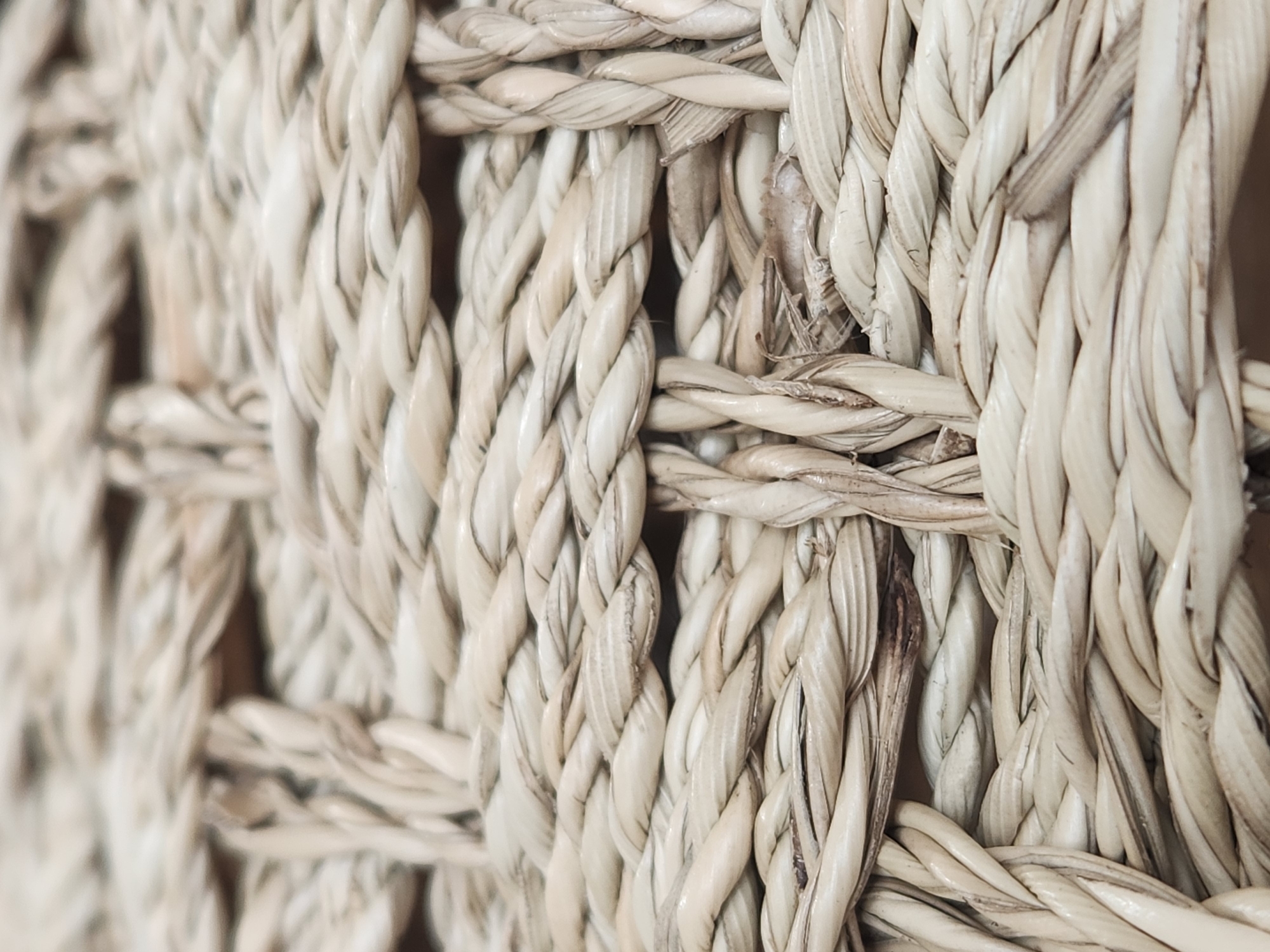 This is a close-up, shallow depth-of-field photograph of a woven material, likely a basket or mat. The texture is predominantly composed of thick, braided natural fibers, predominantly off-white to beige in color. Some strands exhibit darker, dried-out sections, hinting at natural imperfections or aging. The weave pattern appears to be a crisscross or basket weave, with thick strands interlocking to form a sturdy structure. The lighting is soft and diffused, creating subtle shadows that highlight the texture and dimensionality of the weave. The background is out of focus and appears to be a darker, possibly wooden surface, providing a contrast to the lighter woven material. There are no people or discernible objects other than the woven material itself visible in the frame. The image focuses on the intricate details and tactile quality of the woven surface.