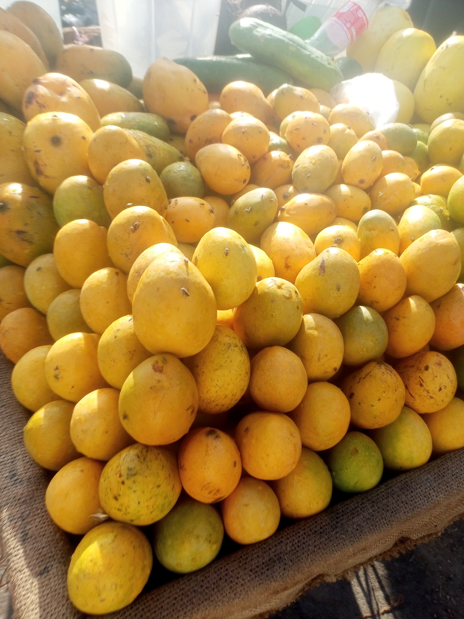 A pyramid-shaped arrangement of yellow mangoes dominates the frame, with some green mangoes mixed in at the bottom. Some cucumbers and a bottle of what appears to be juice are in the background. The mangoes are displayed on a brown woven surface, likely a mat or cloth laid out on a surface. The overall setting suggests an open-air market, and the lighting suggests it is daytime. The location is stated to be Tempure, Nigeria. No people are visible in the image. The focus is on the mangoes and their arrangement for sale.