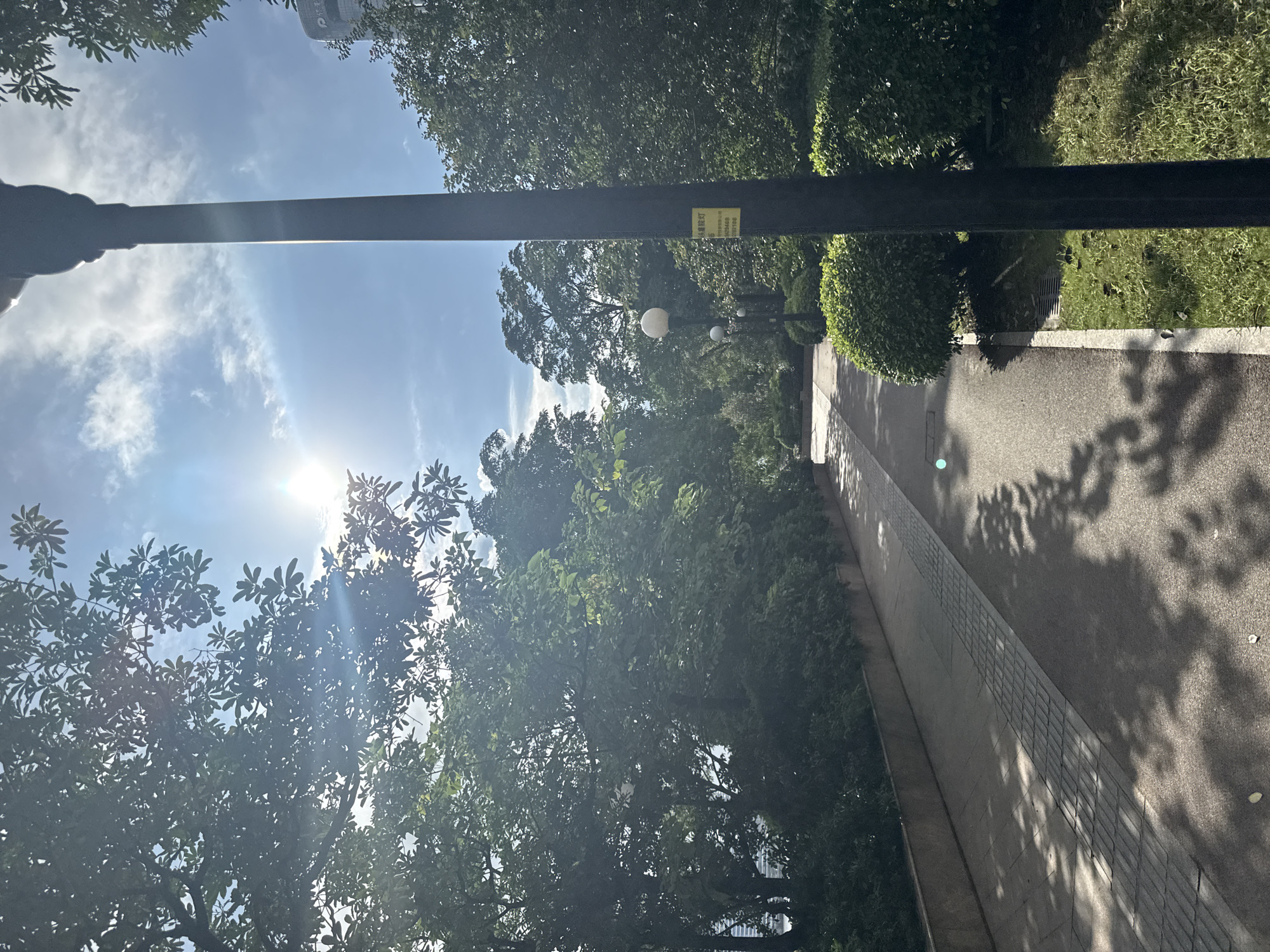 The image shows a pathway in a park in Haizhu District, China. The sun is shining brightly, with visible sun flares in the sky. Lush green trees line both sides of the pathway, with their leaves creating dappled shadows on the ground. The pathway itself is paved with a lighter colored material, with a section of textured tiles running along its edge. To the right of the pathway, there are neatly trimmed bushes and a patch of green grass. A tall black lamppost stands prominently on the right side of the frame, with a yellow notice attached to it. In the background, more trees and foliage are visible, with a hint of a building peeking through the leaves on the far right. The overall scene depicts a serene outdoor environment within a city park.