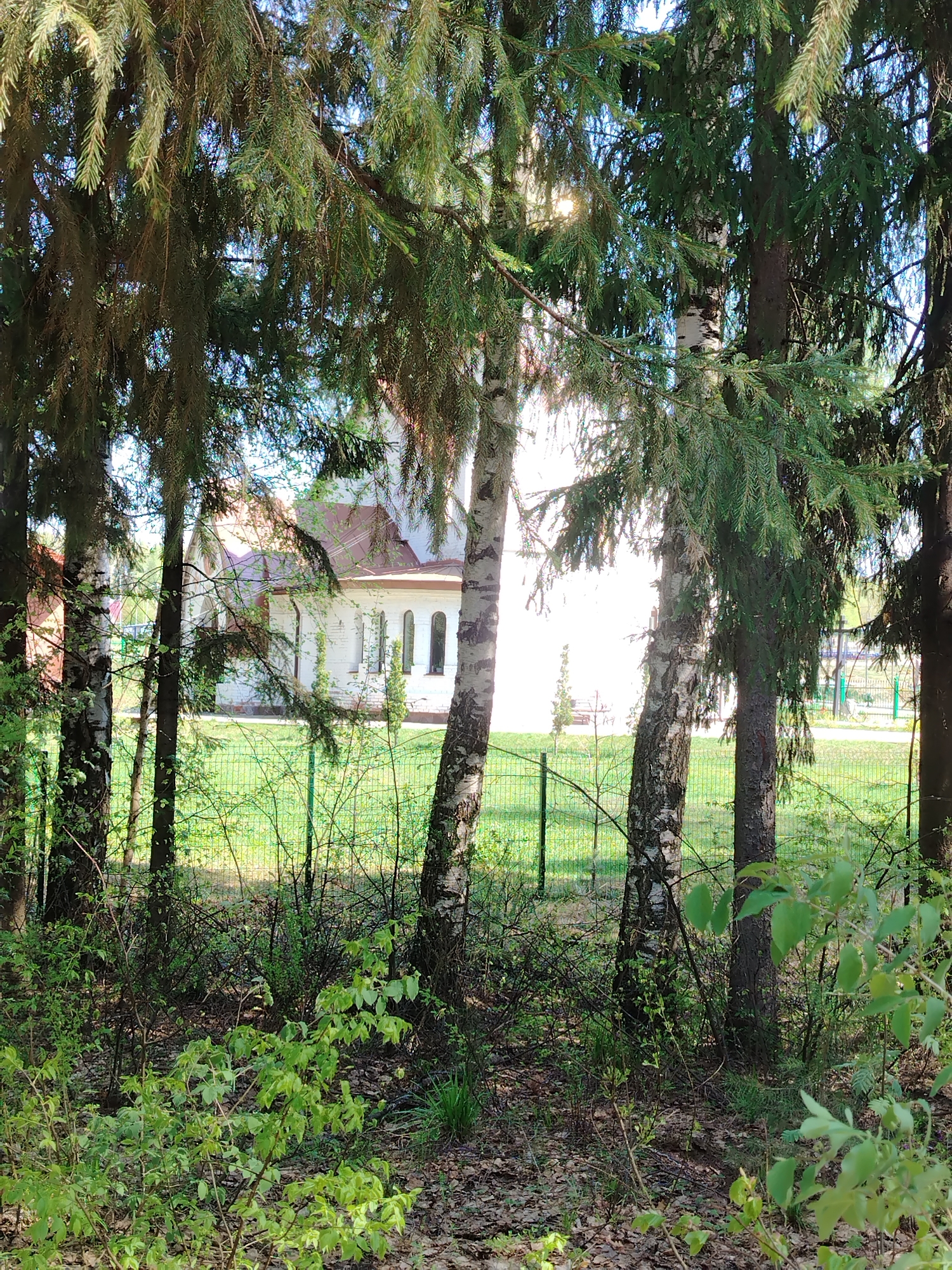 The image depicts a partly obscured view of a building through a wooded area. The building is white with a red roof, featuring arched windows. A green metal fence runs along the edge of a grassy area separating the woods from the building. Several trees, including birch and evergreen varieties, are in the foreground, with ground cover of small plants and leaf litter. The location is likely Noviy, Russia, based on the user’s prompt. There are no visible people or discernible actions. The interaction is limited to the natural environment surrounding the built structure.