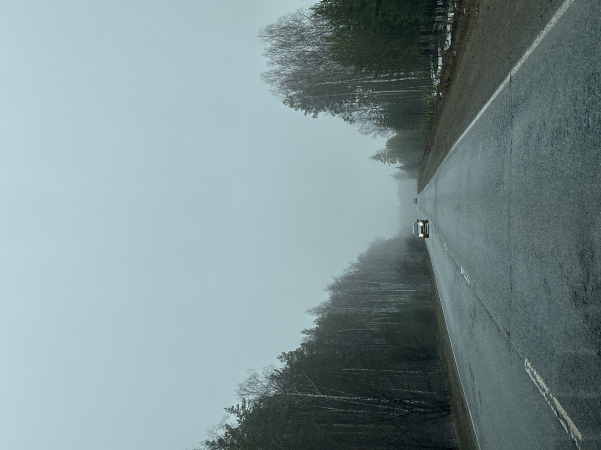 The image shows a road in a foggy, overcast environment. A car is visible on the road in the distance. Both sides of the road are lined with trees. There is no indication this photo was taken in Novyi, Russia.