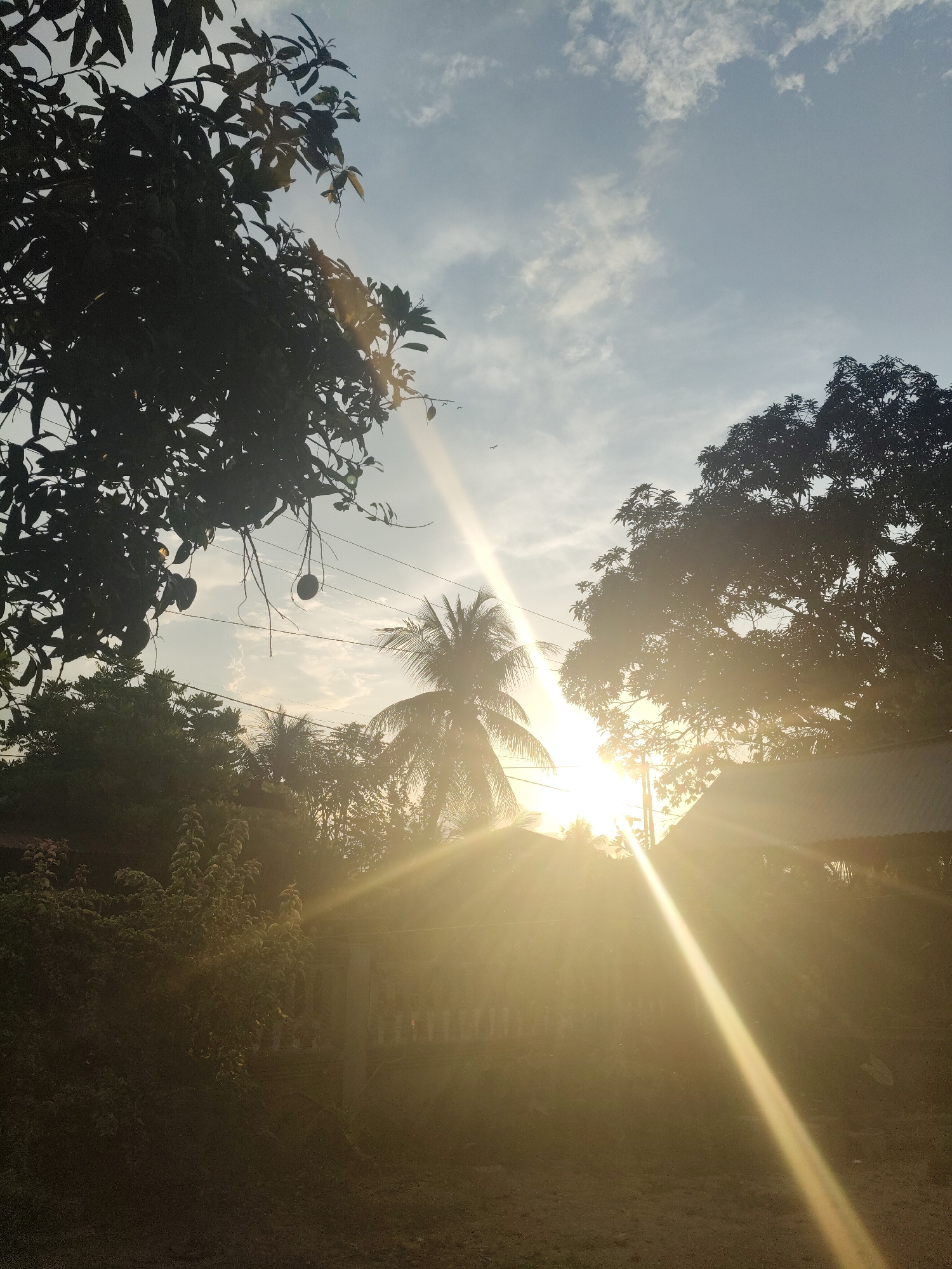 The image captures a tropical scene at golden hour, likely in Gampongbaro, Indonesia. The sun is low in the sky, casting a bright, lens-flare effect across the frame and illuminating the environment with warm, golden light. Silhouetted against the bright sky are the dense foliage of trees, including what appears to be a mango tree with fruit hanging from its branches and a palm tree. In the background, a simple structure with a tin roof is partially visible, along with a white, low fence. The ground in the foreground appears to be sandy or dusty, with some dry vegetation. The sky is a pale blue with scattered white clouds, and a tiny bird is visible flying in the distance. The overall impression is one of a tranquil, natural setting bathed in the soft glow of sunset.