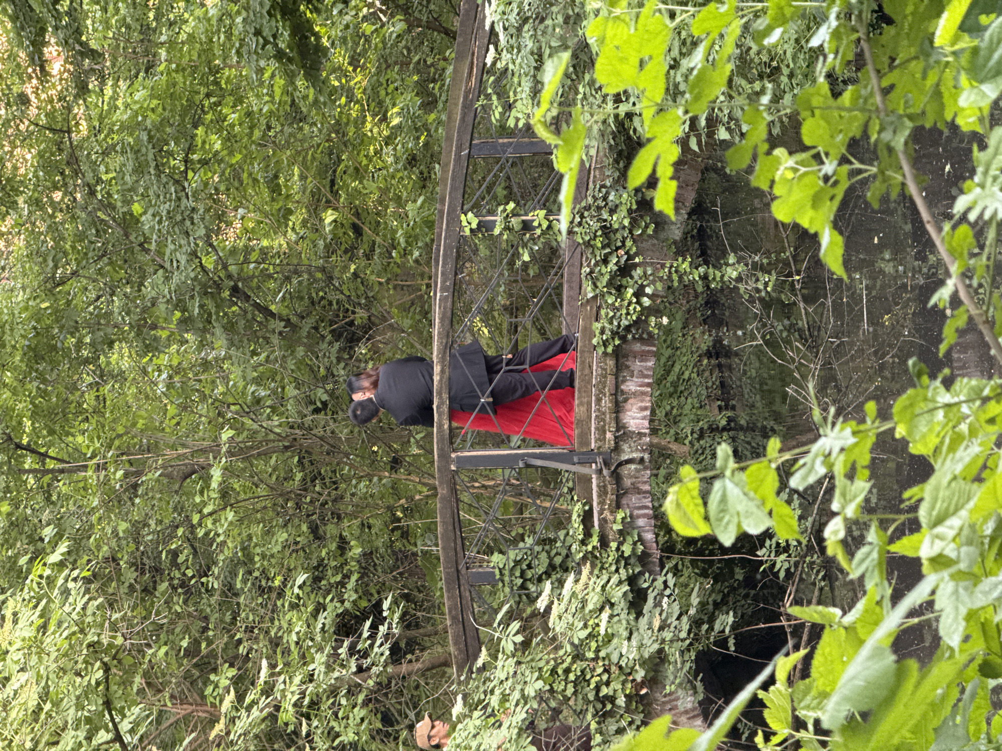 A couple is pictured on a bridge in what appears to be a lush, overgrown urban landscape. The bridge is of a dark, possibly wrought iron construction, with an intricate geometric design along its sides. The structure seems to be enveloped by dense foliage, including ivy and various types of green leaves. The couple is positioned in the center of the bridge. One person, wearing dark clothing and possibly a hat, is positioned next to the other person who is wearing a dark top with a bright red skirt or wrap. The surrounding environment is dominated by trees and vegetation, suggesting a park or garden area. The bottom right of the image features brighter green leaves, possibly framing the scene. In the lower part of the image is a person with a cap on, possibly taking a photo. The general impression is one of a secluded, romantic moment in a naturalized urban setting. The location is Milan, Italy.