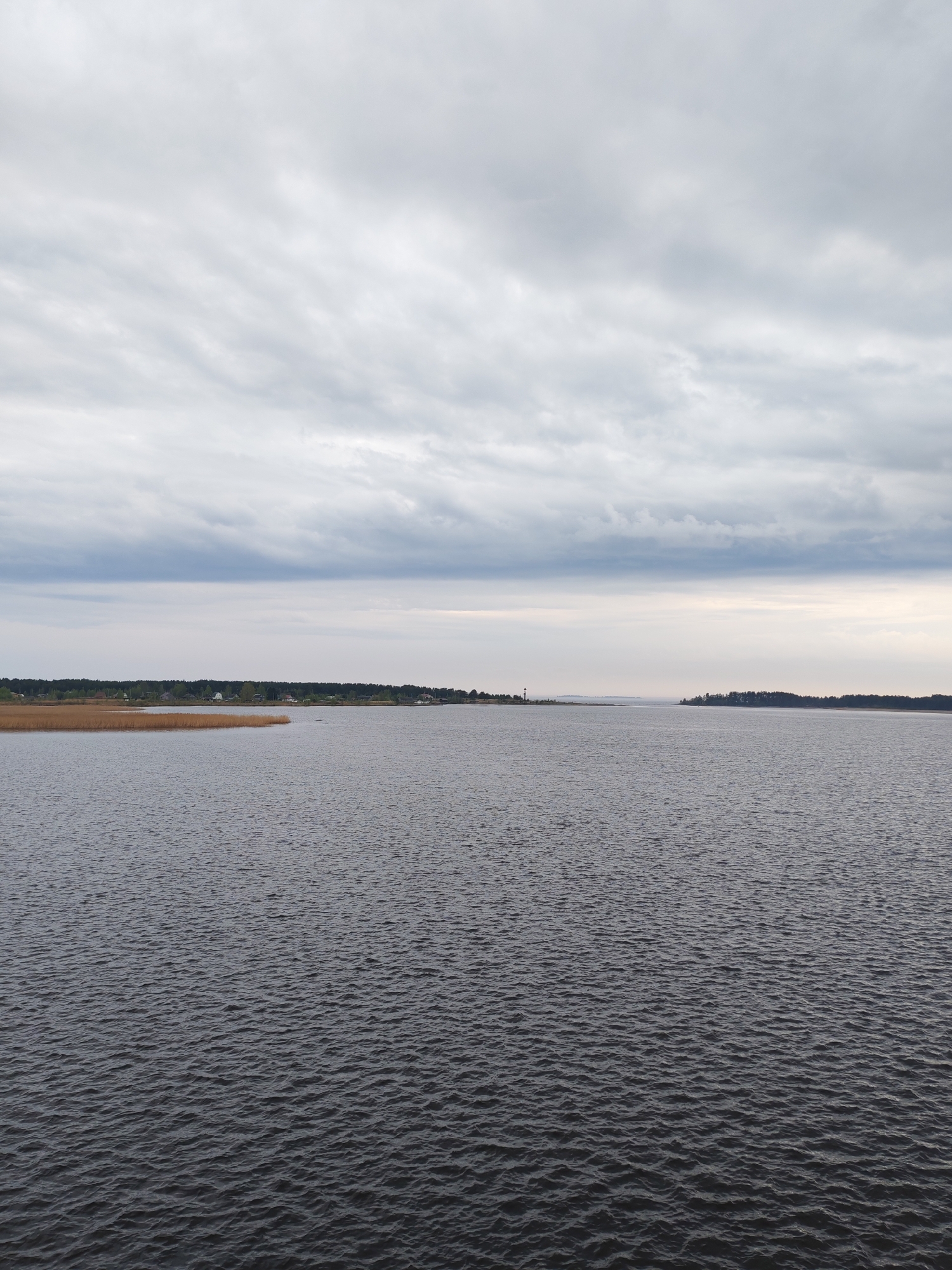 The image shows a body of water, likely a lake or wide river, under a cloudy sky. The water is dark and rippled. The far shore is lined with vegetation, including reeds in the left foreground and a treeline further back. In the distance, there is a barely visible structure that could be a tower. The location is possibly near Shalsky, Russia. There is no visible evidence of people.