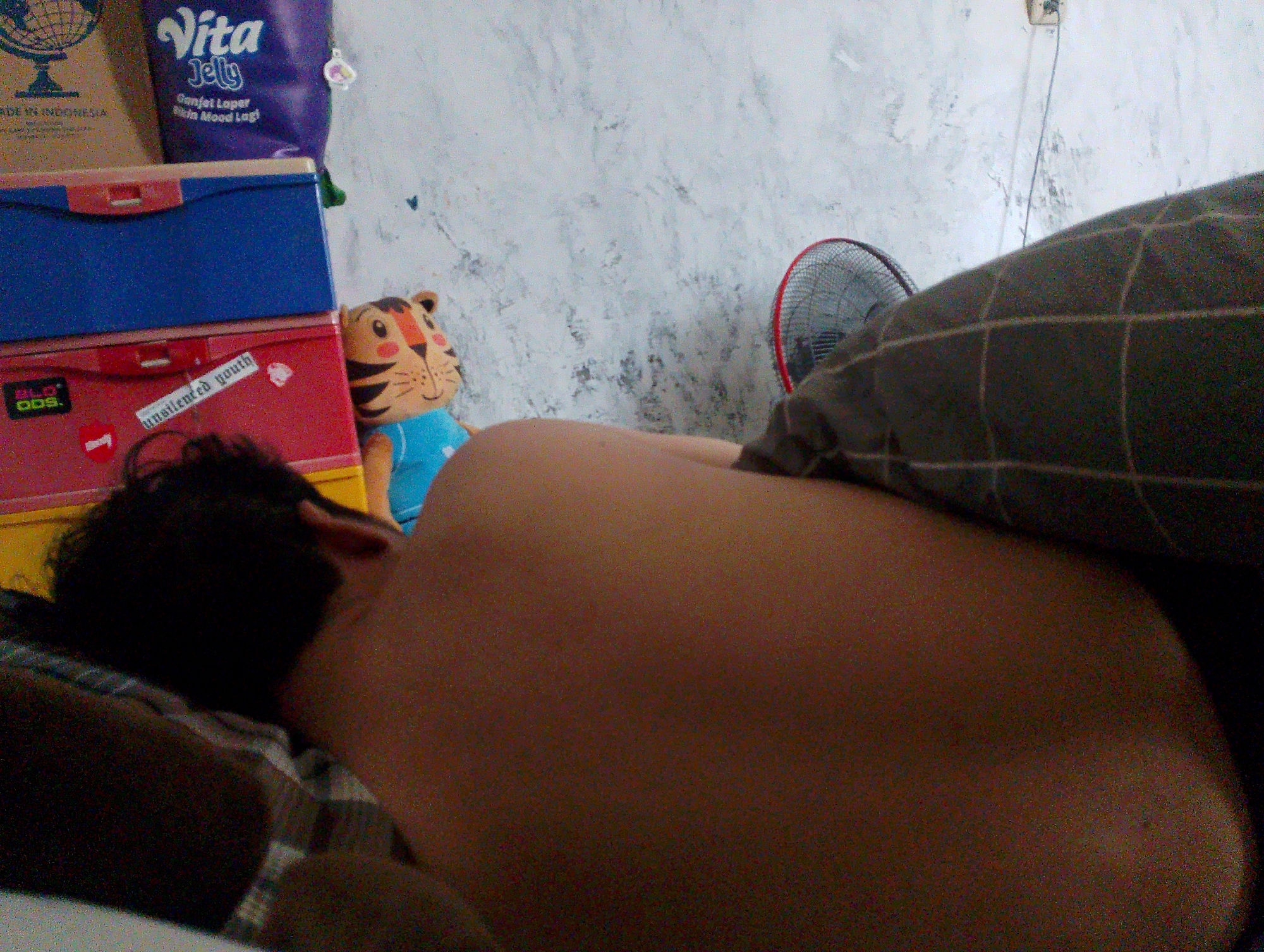A person is lying down on a bed, viewed from behind and slightly to the side. The person is facing away from the camera, with their back and a portion of their arm visible. Their hair is dark and appears to be short. They are covered by a blanket or sheet with a checkered pattern in dark colors. To the left of the person are two stacked storage boxes, one blue and one red, with a tiger plush toy on top of the red box. Behind the person, a fan with a red and black frame is visible, along with a textured wall. The overall scene appears to be indoors, possibly in a bedroom. The image does not provide enough information to determine the specific location in Plumbungan, Indonesia.