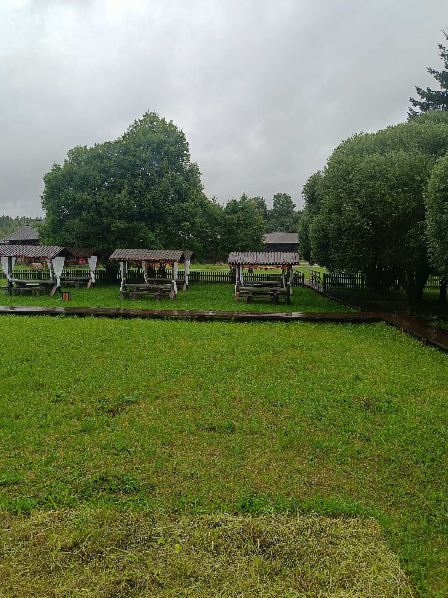 In Semenkovo, Russia, a cluster of wooden gazebos with thatched roofs and white curtains is situated on a wet, grassy lawn. The gazebos are furnished with picnic tables and benches. A wooden boardwalk meanders through the grass, leading towards the gazebos and a wooden fence that encloses the area. Lush green trees, including a large oak and willow trees, form a backdrop against a cloudy, overcast sky. In the background, wooden buildings suggestive of traditional Russian architecture are visible. The overall scene depicts an outdoor recreational area.