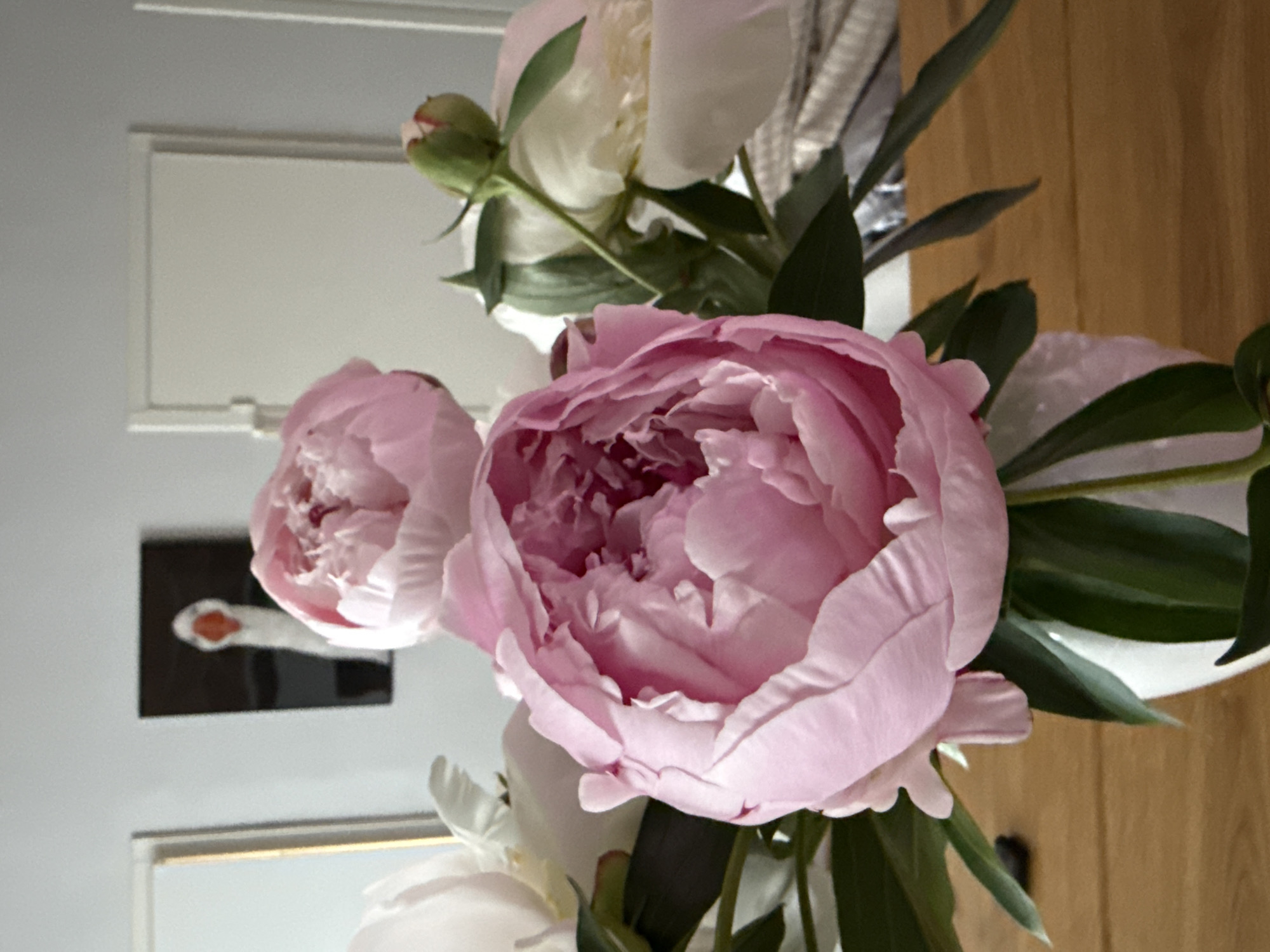 A vase containing pink and white peonies sits on a wooden table. In the background, a framed picture of a goose hangs on a light-colored wall, alongside a white door. The image was taken in Chaikovsky, Russia.