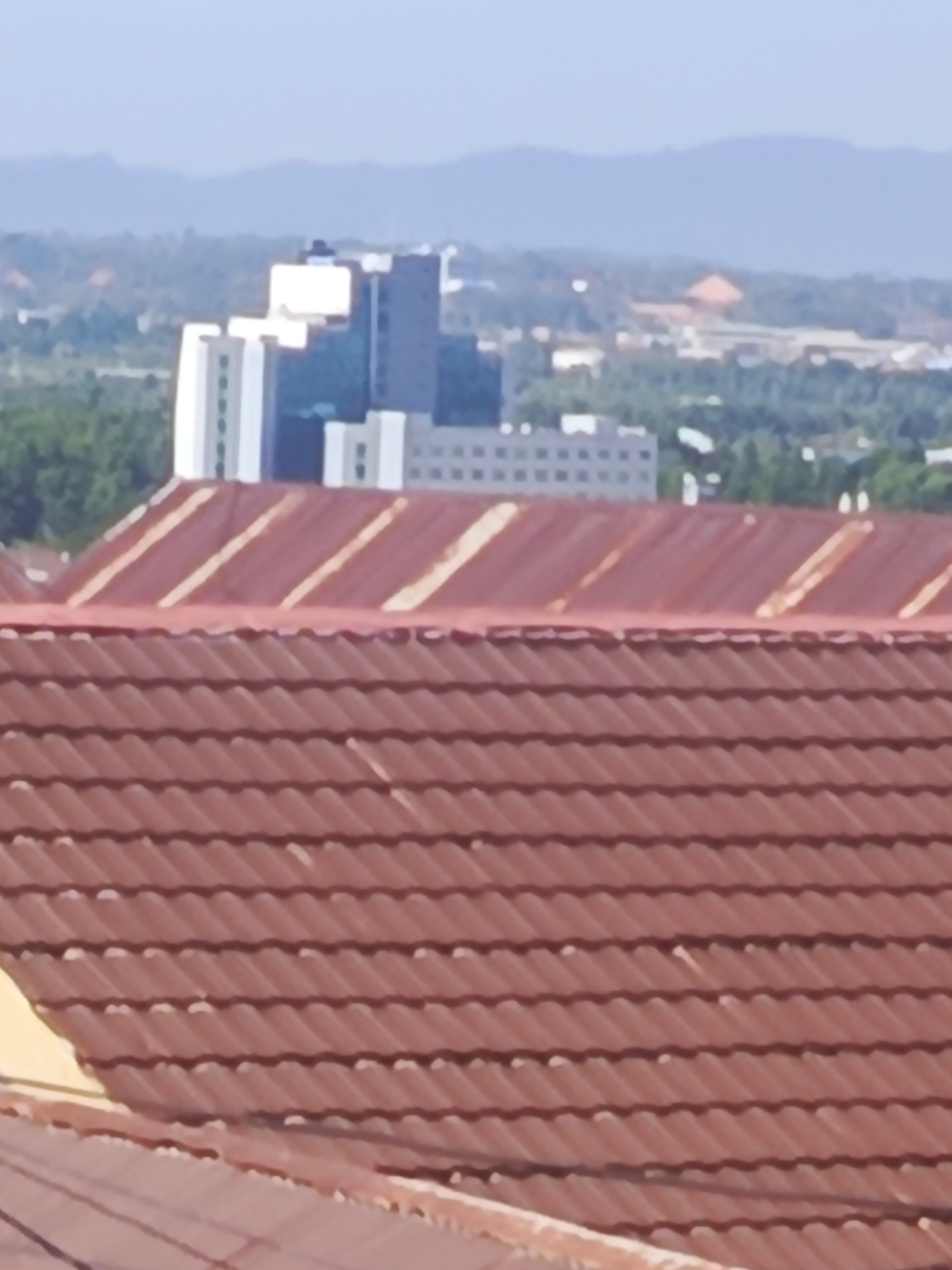 The image shows a partial view of a cityscape, with a focus on two distinct layers of rooftops. The foreground is dominated by a close-up of a brown, tiled roof, which appears to be made of clay tiles laid in an overlapping pattern. The tiles are a warm, reddish-brown color, and the sunlight highlights the textured surface and the shadows between the rows.
In the middle ground, there is another tiled roof, this one appearing to be corrugated metal with a faded red or orange hue. This roof runs horizontally across the image, with visible seams or corrugations.
Beyond the rooftops, a section of a city skyline is visible. Several buildings are present, including a prominent multi-story structure with a blue-tinted glass facade and white architectural elements. This building appears to be modern and commercial. Other, less distinct buildings, some appearing lighter in color and possibly residential or office blocks, are also scattered throughout the mid-ground.
Further in the background, a lush green landscape of trees and foliage suggests a suburban or park area. Beyond this, a range of hazy, blue-tinted mountains form the distant horizon under a pale sky. The overall impression is a view from a higher vantage point overlooking a moderately developed urban area, likely within or on the outskirts of Kendari, Indonesia, given the mountainous terrain and tropical vegetation suggested by the greenery. No people or specific actions are depicted in the image.