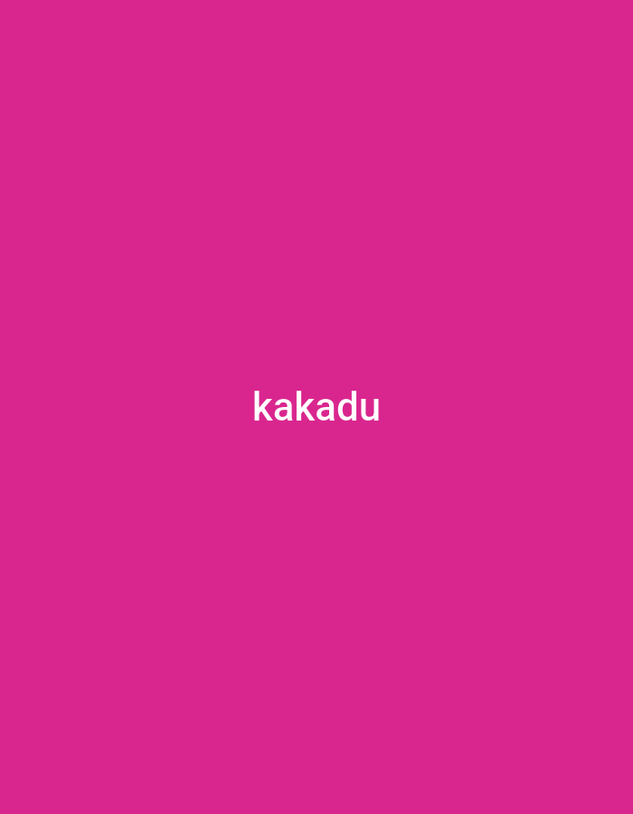 The image is a solid magenta background with the word "kakadu" written in white in the center. There is no discernible location, people, objects, actions, interactions, or environment depicted.