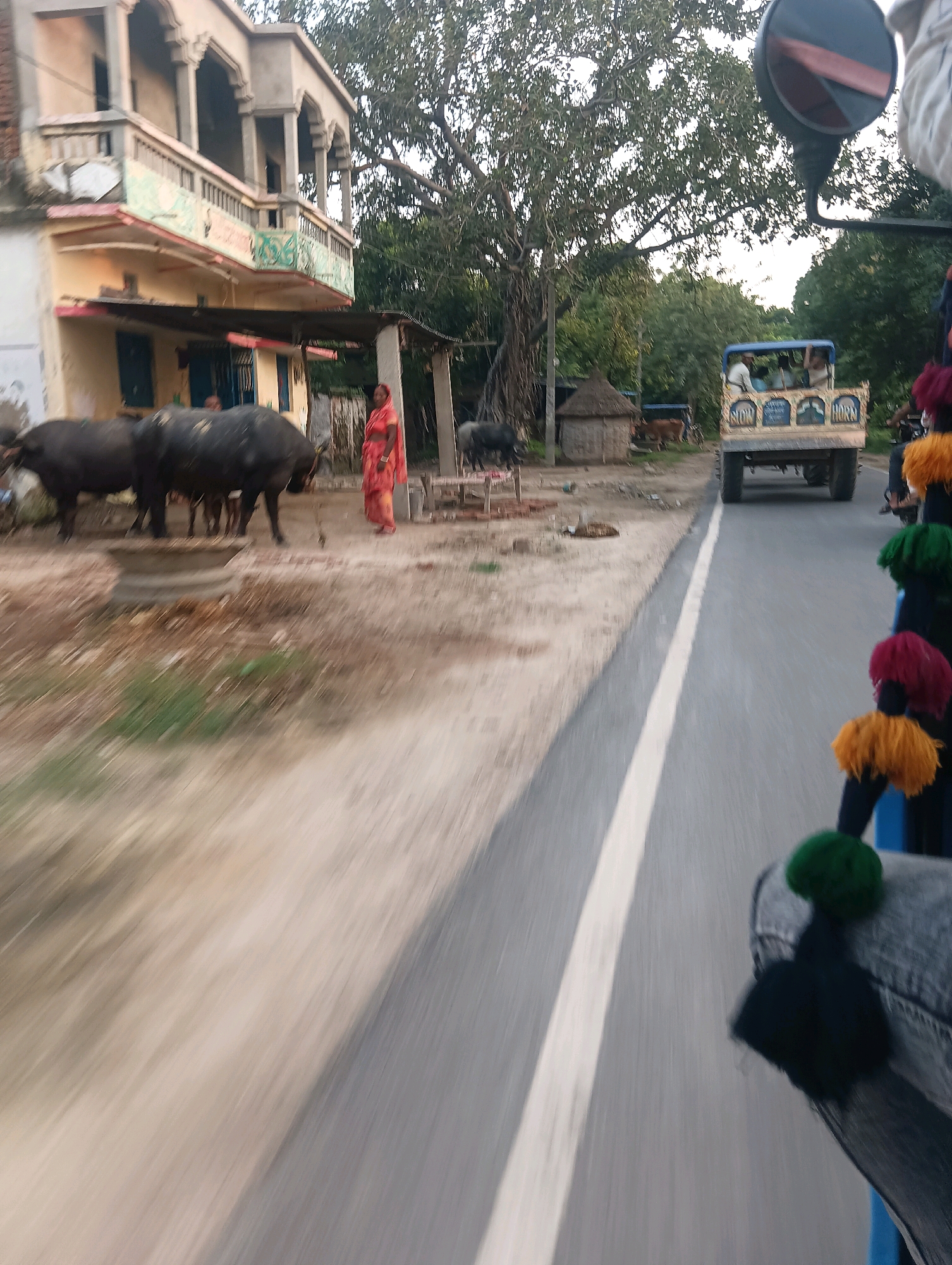 A blur of motion captures a rural scene in Ekma, India. A traditional two-story building with arched windows and a balcony stands to the left, painted yellow and cream. In front of it, several dark-colored water buffalo are gathered. A woman in a bright orange sari stands to the right of the buffalo, facing left. Beyond the building and buffalo, a large tree with a thick trunk and sprawling branches dominates the background. A blue truck with people inside is visible on the right side of the frame, driving on a paved road. The road has a white line marking the lane. The foreground is a blur of the ground and asphalt, indicating movement.